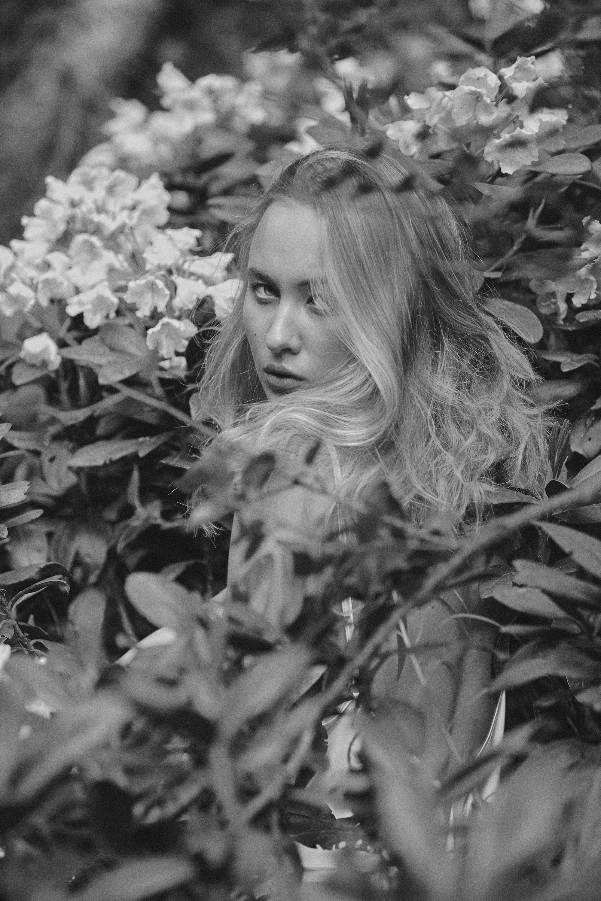 Фотосессия в горах Кабардино-Балкарии. Фотограф Продюсер в горах КБР / Москва  Нальчик Горы