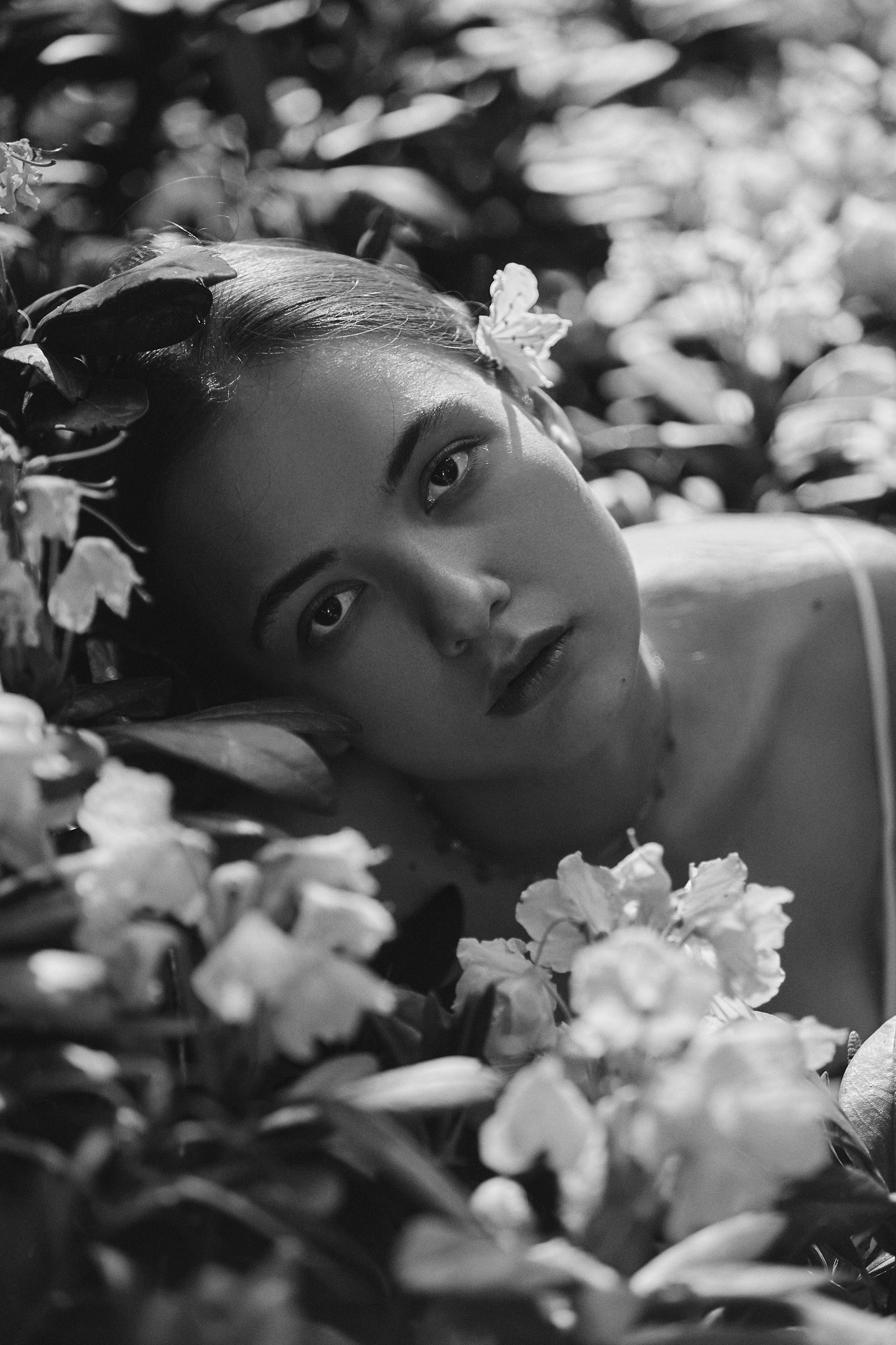 Фотосессия в горах Кабардино-Балкарии. Фотограф Продюсер в горах КБР / Москва  Нальчик Горы