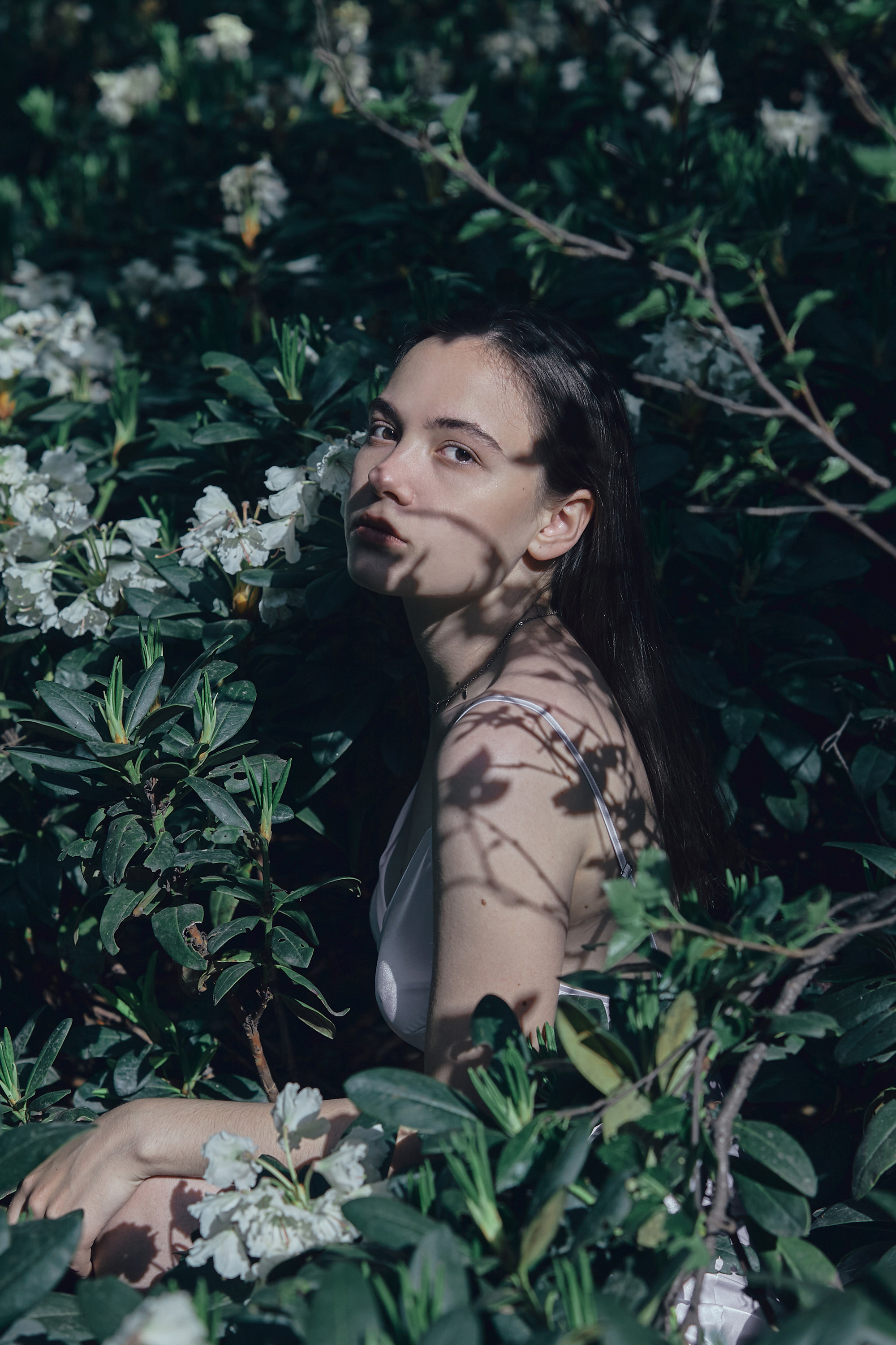 Фотосессия в горах Кабардино-Балкарии. Фотограф Продюсер в горах КБР / Москва  Нальчик Горы