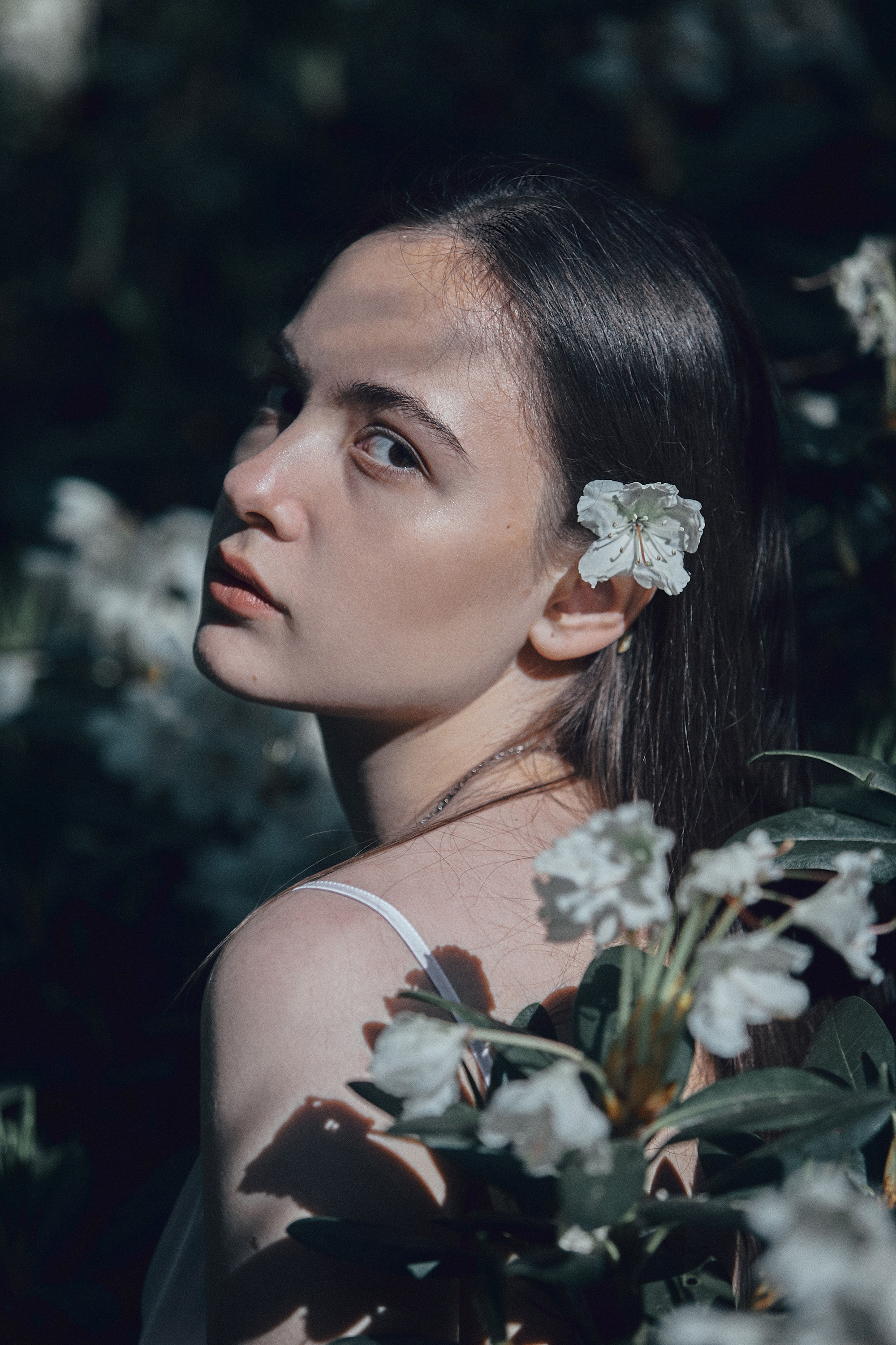 Фотосессия в горах Кабардино-Балкарии. Фотограф Продюсер в горах КБР / Москва  Нальчик Горы