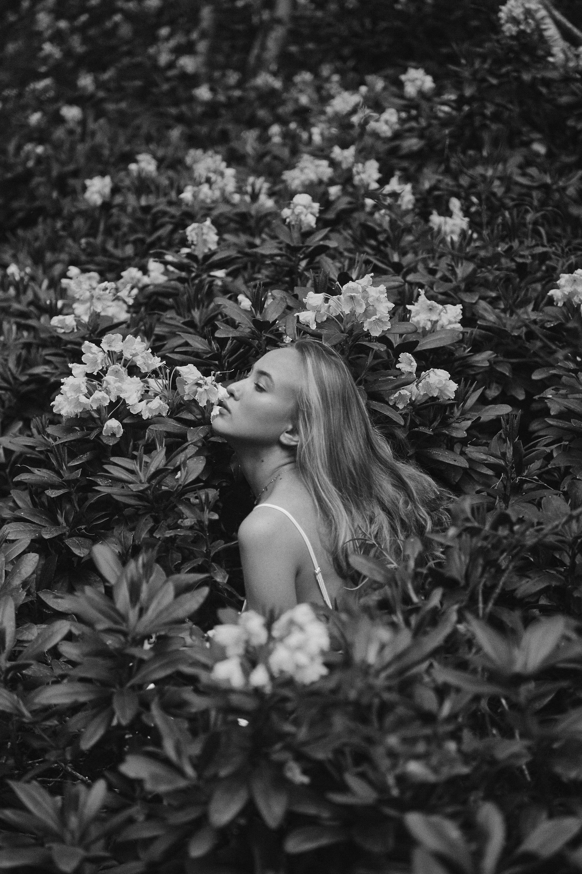 Фотосессия в горах Кабардино-Балкарии. Фотограф Продюсер в горах КБР / Москва  Нальчик Горы