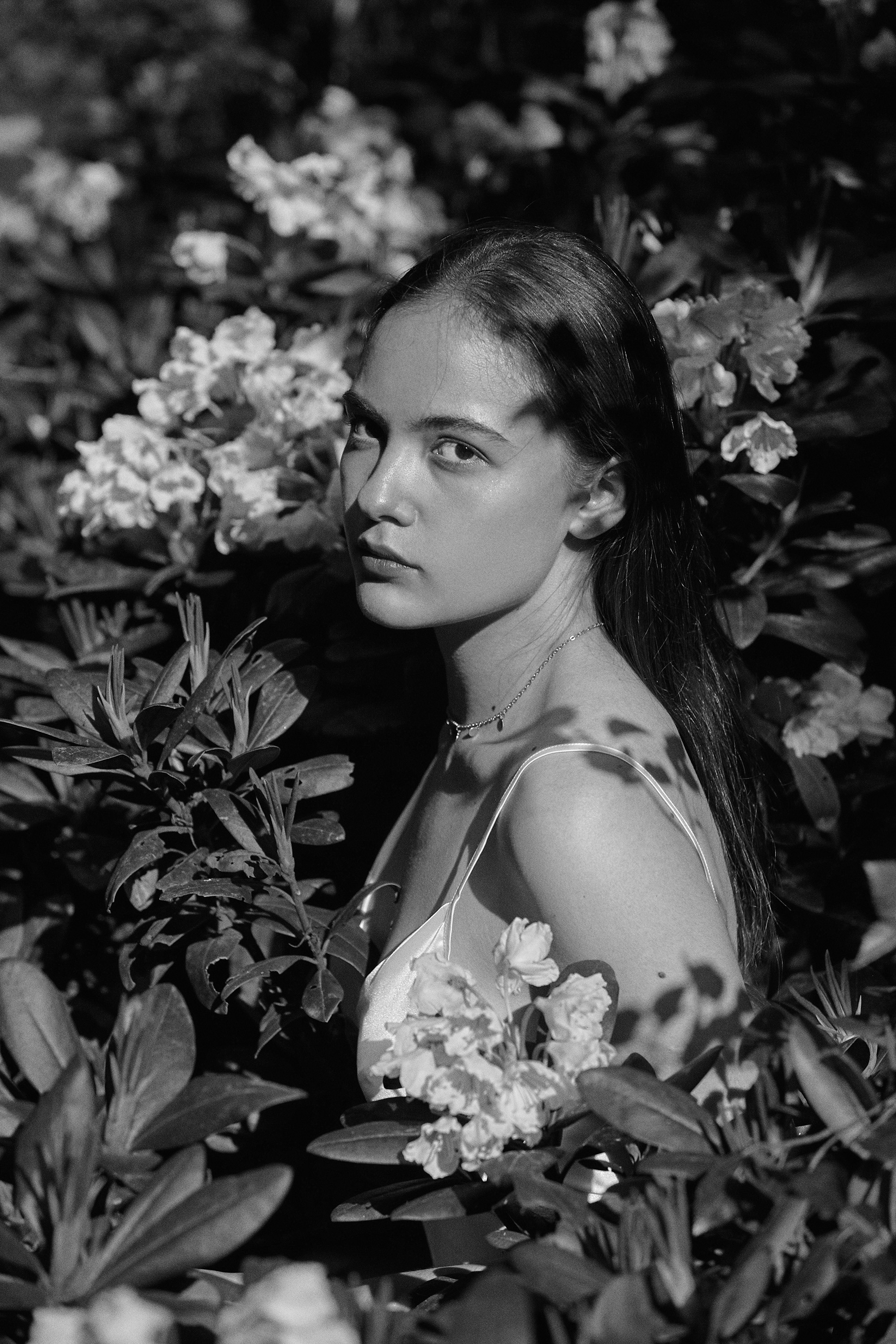 Фотосессия в горах Кабардино-Балкарии. Фотограф Продюсер в горах КБР / Москва  Нальчик Горы