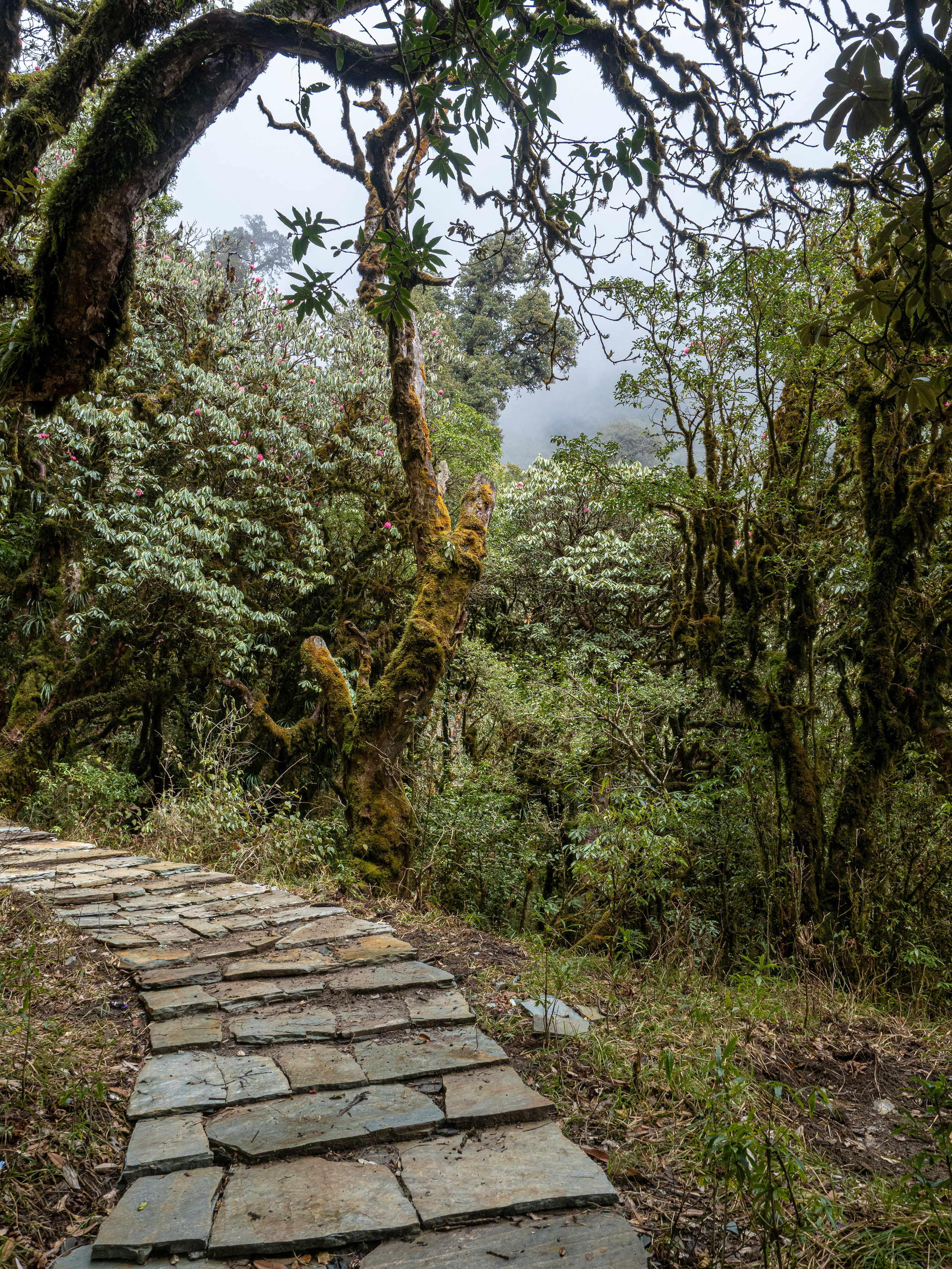 Непал, трек в районе Аннапурны, 2023. Творческие сьемки