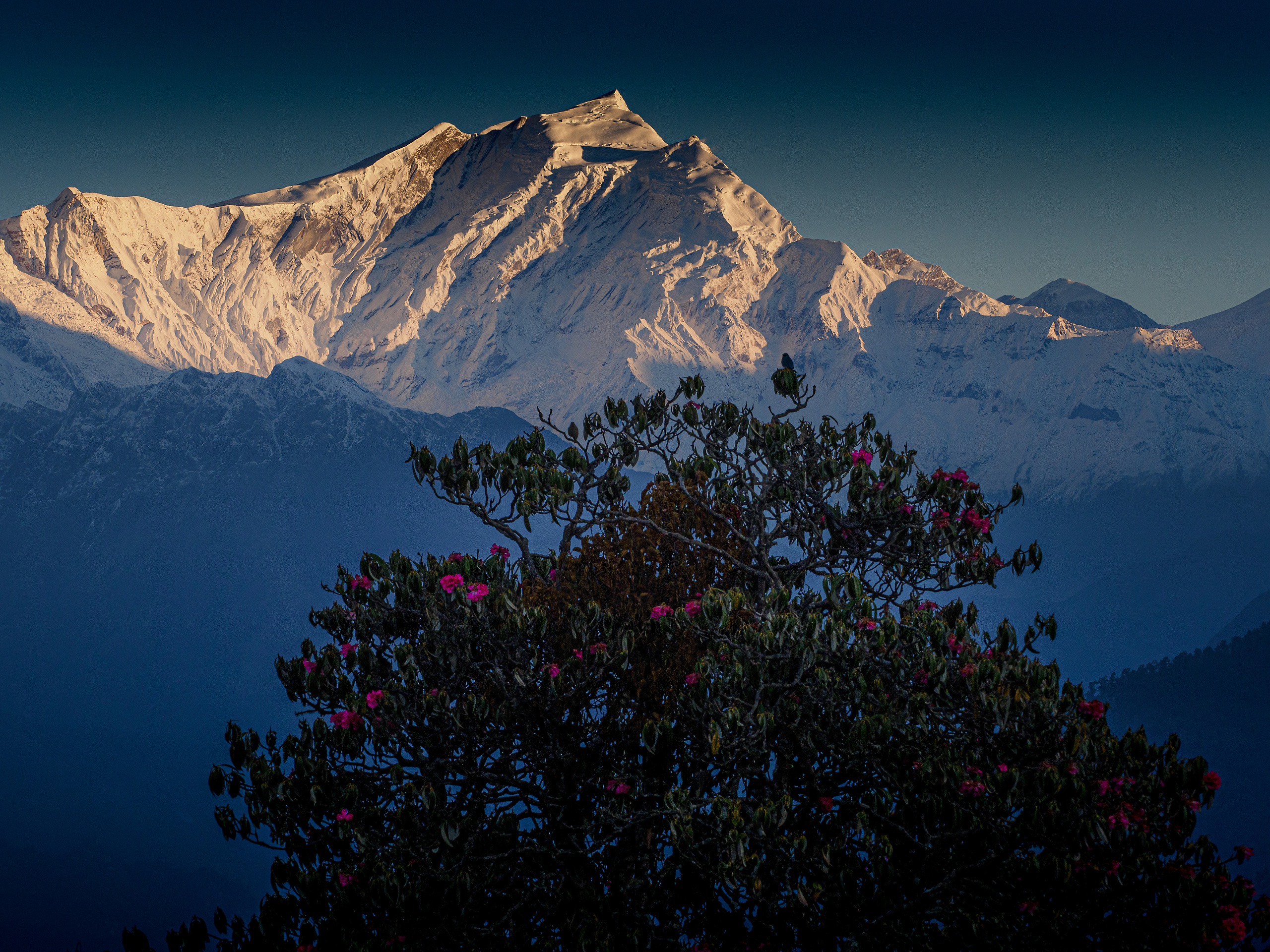 Непал, трек в районе Аннапурны, 2023. Творческие сьемки