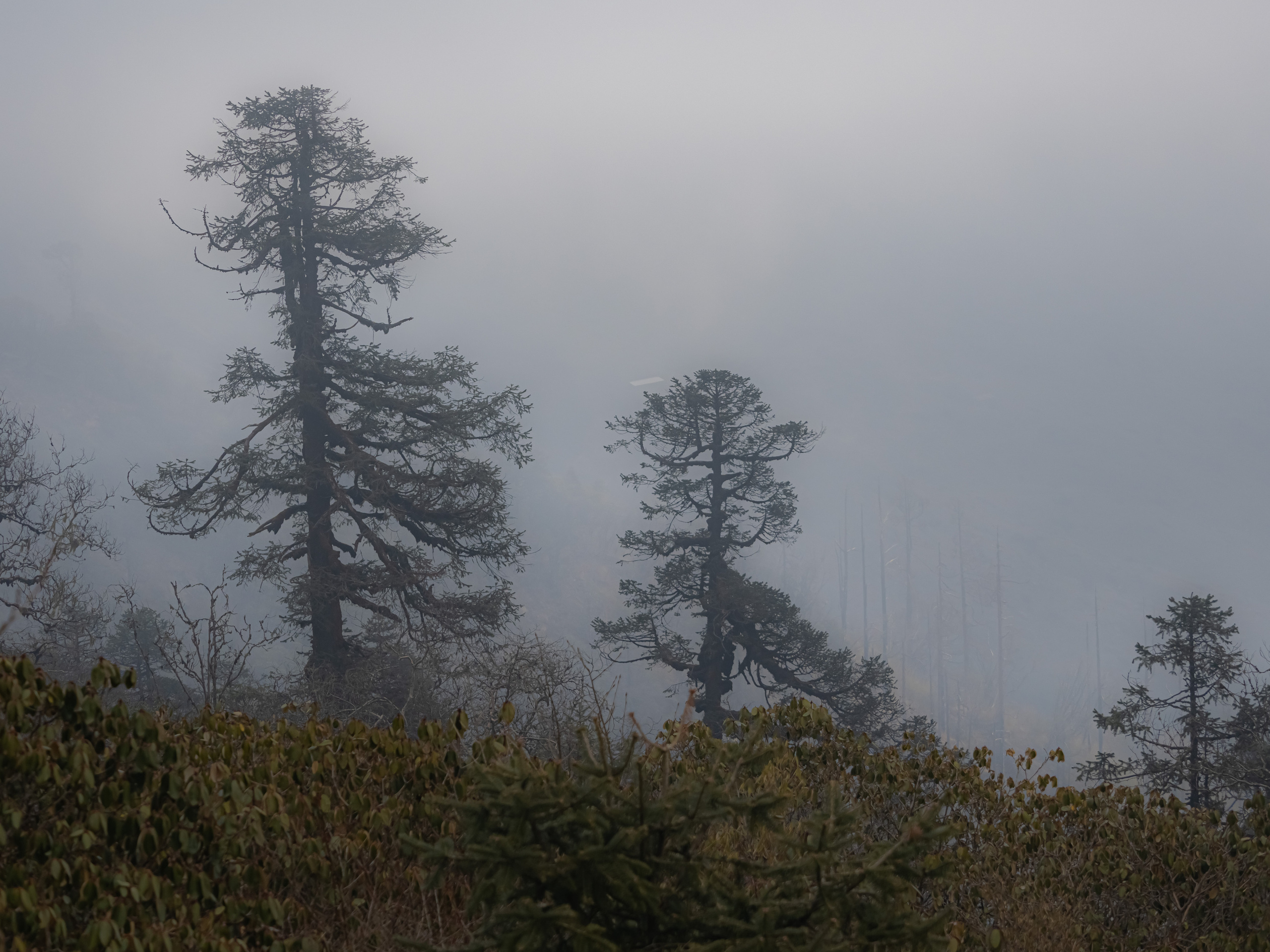Непал, трек в районе Аннапурны, 2023. Творческие сьемки