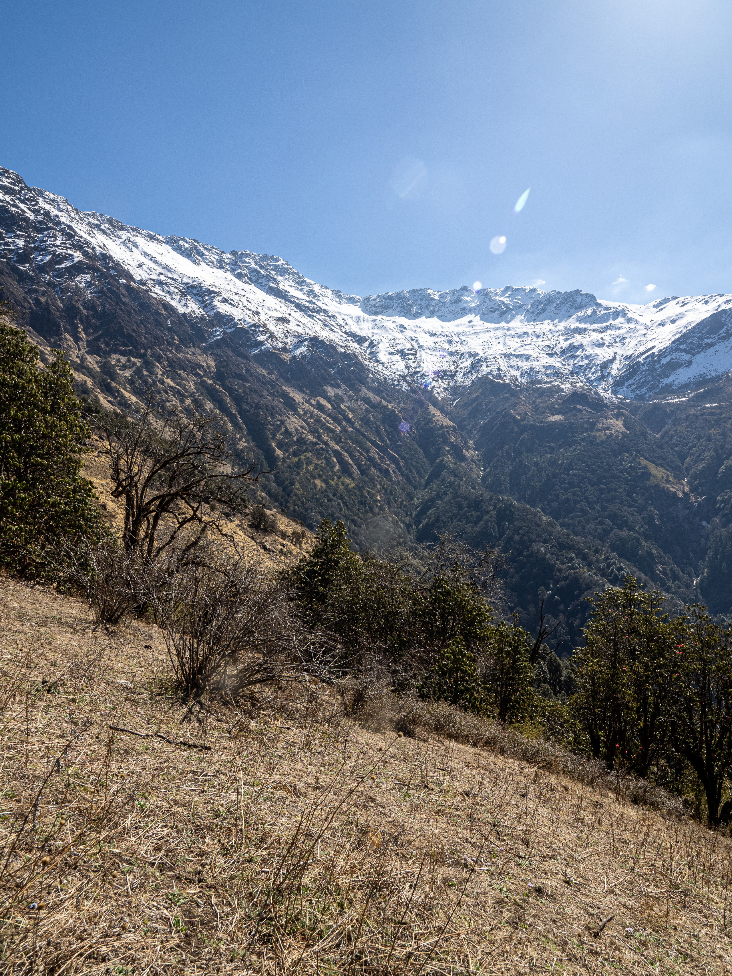 Непал, трек в районе Аннапурны, 2023. Творческие сьемки