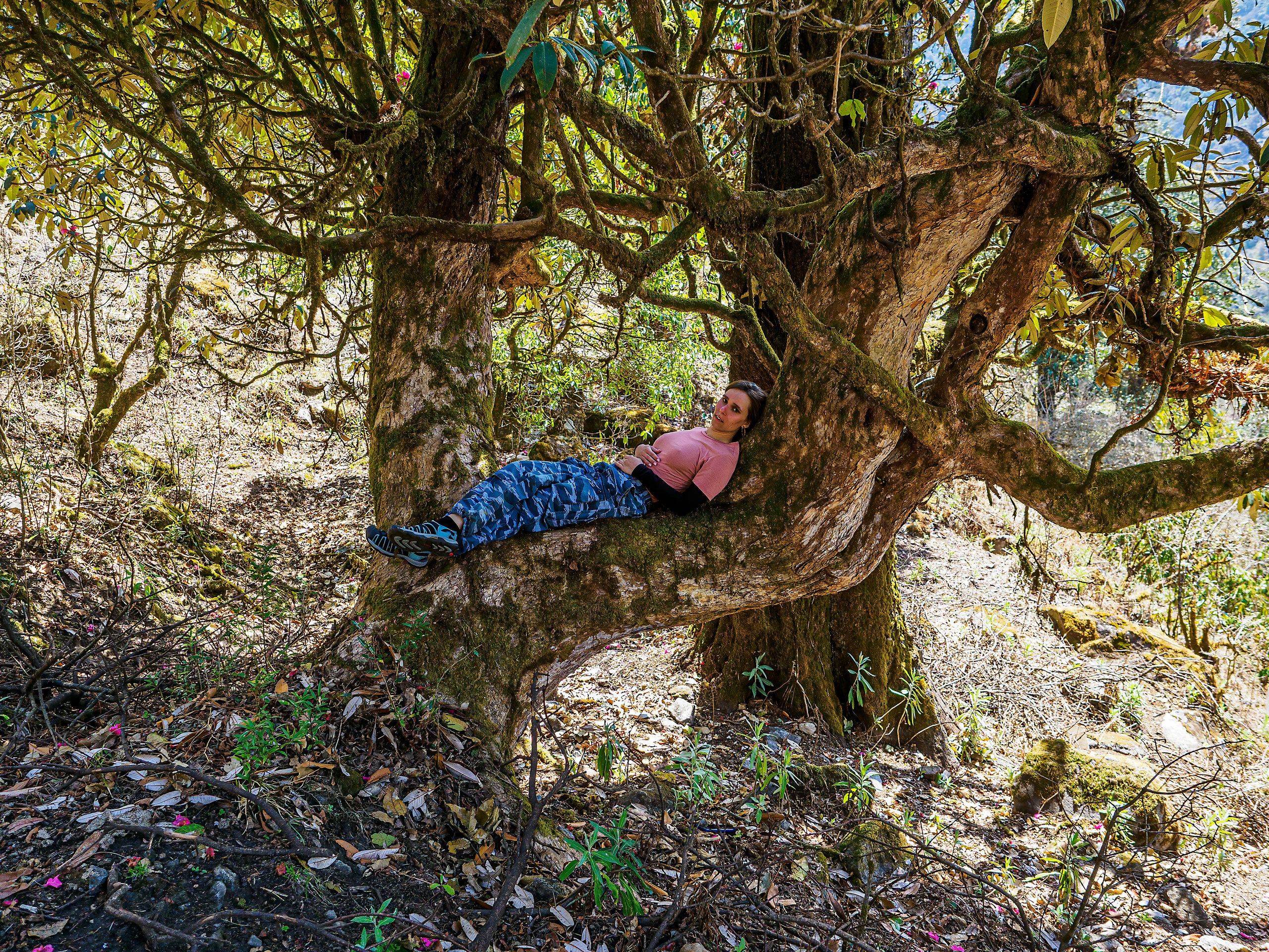 Непал, трек в районе Аннапурны, 2023. Творческие сьемки