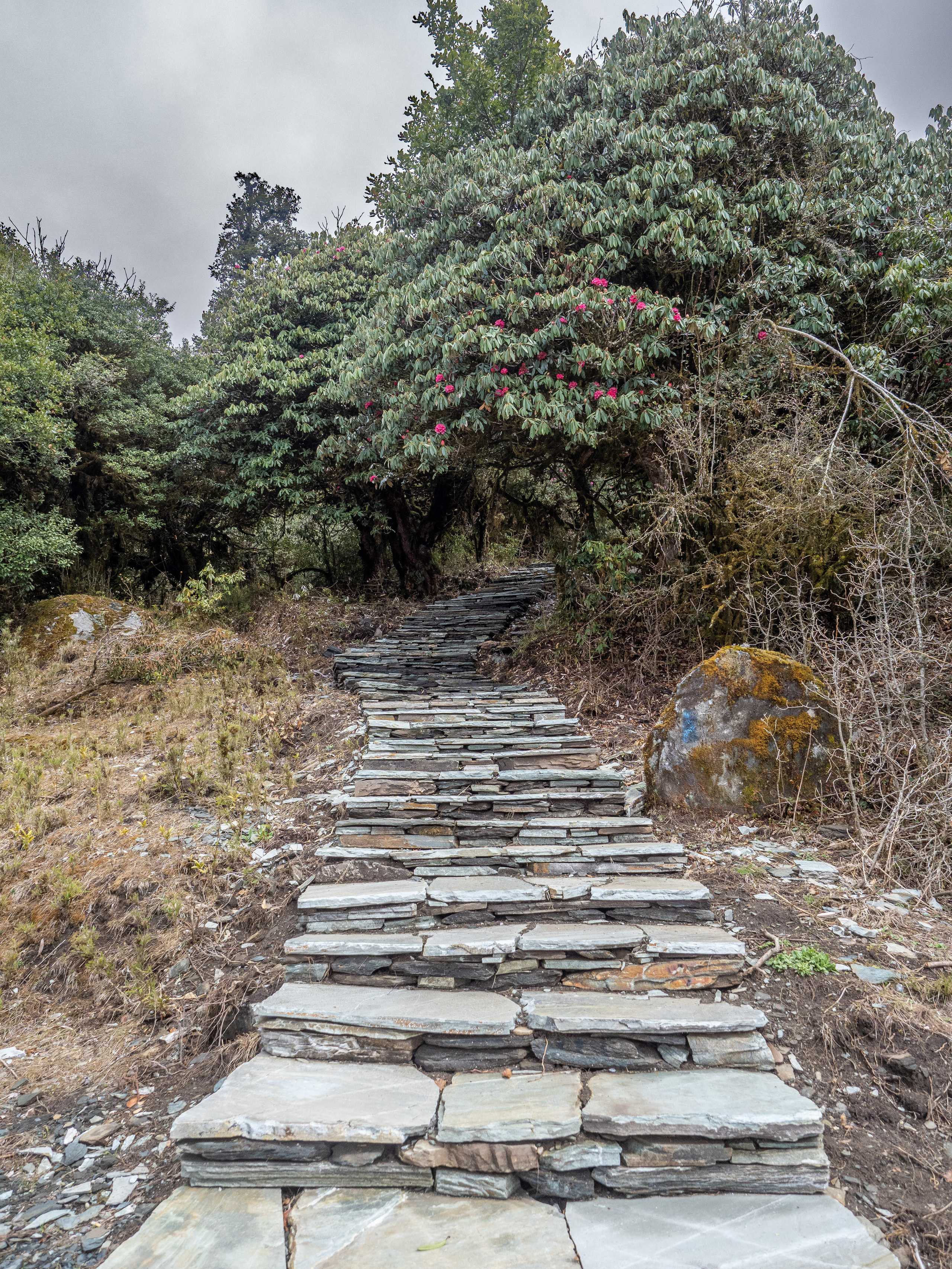 Непал, трек в районе Аннапурны, 2023. Творческие сьемки