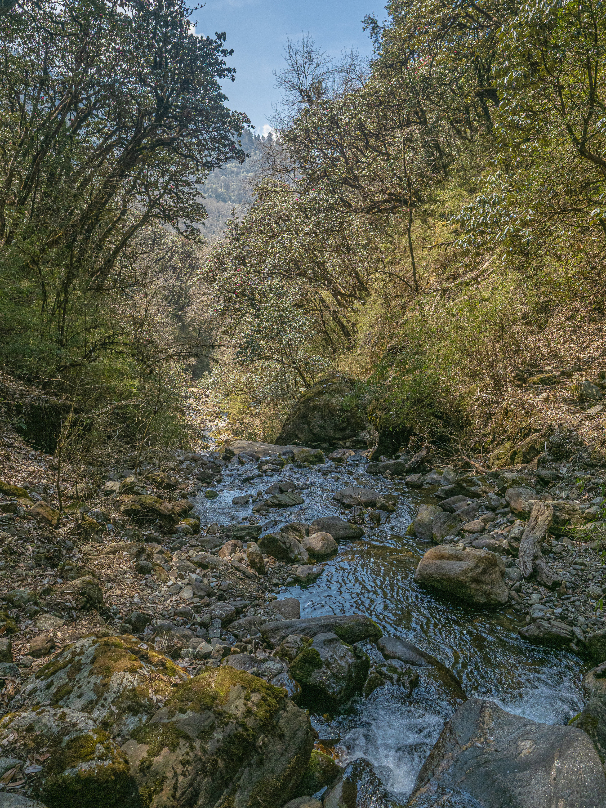 Непал, трек в районе Аннапурны, 2023. Творческие сьемки