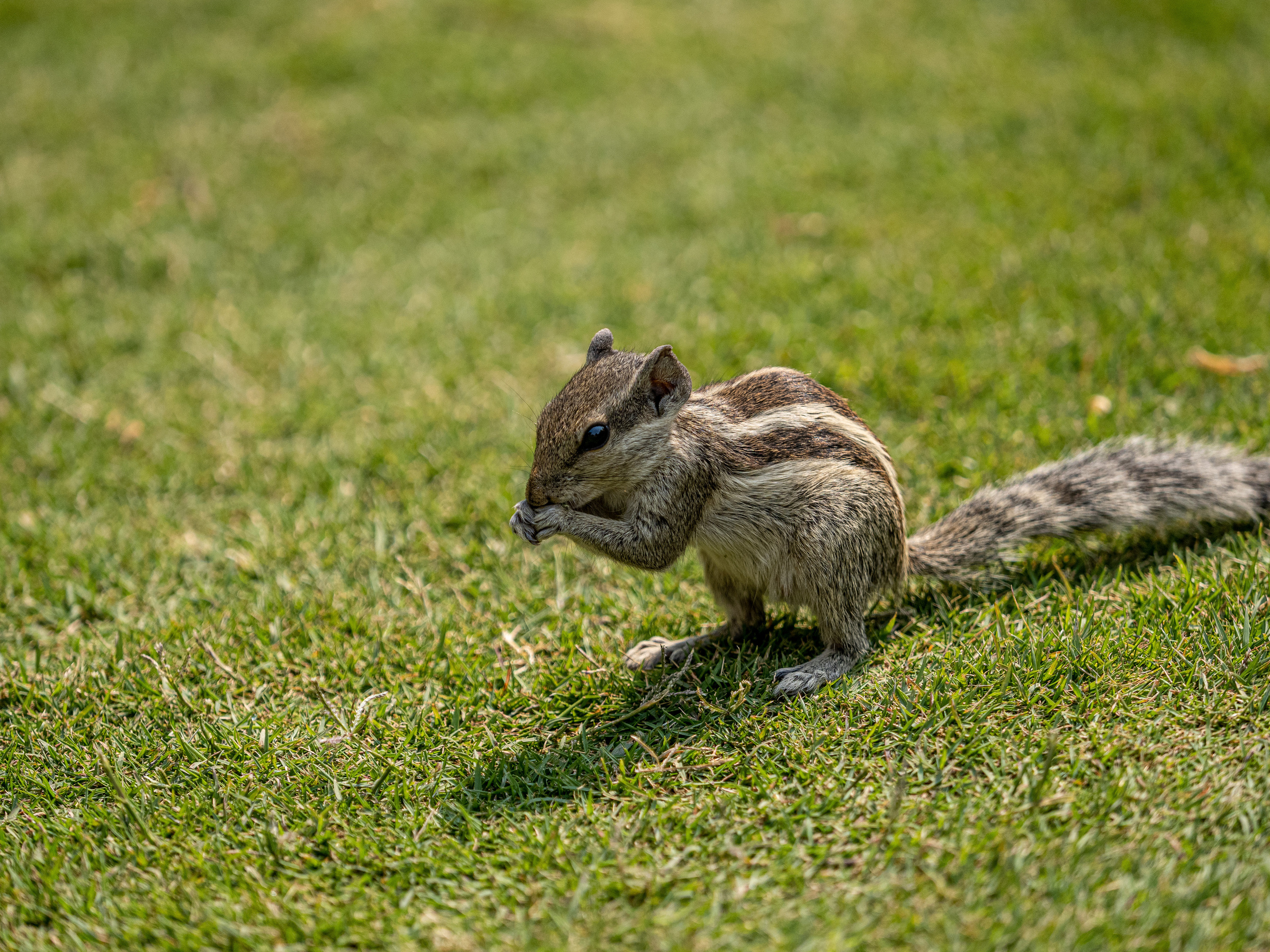 Непал, трек в районе Аннапурны, 2023. Творческие сьемки