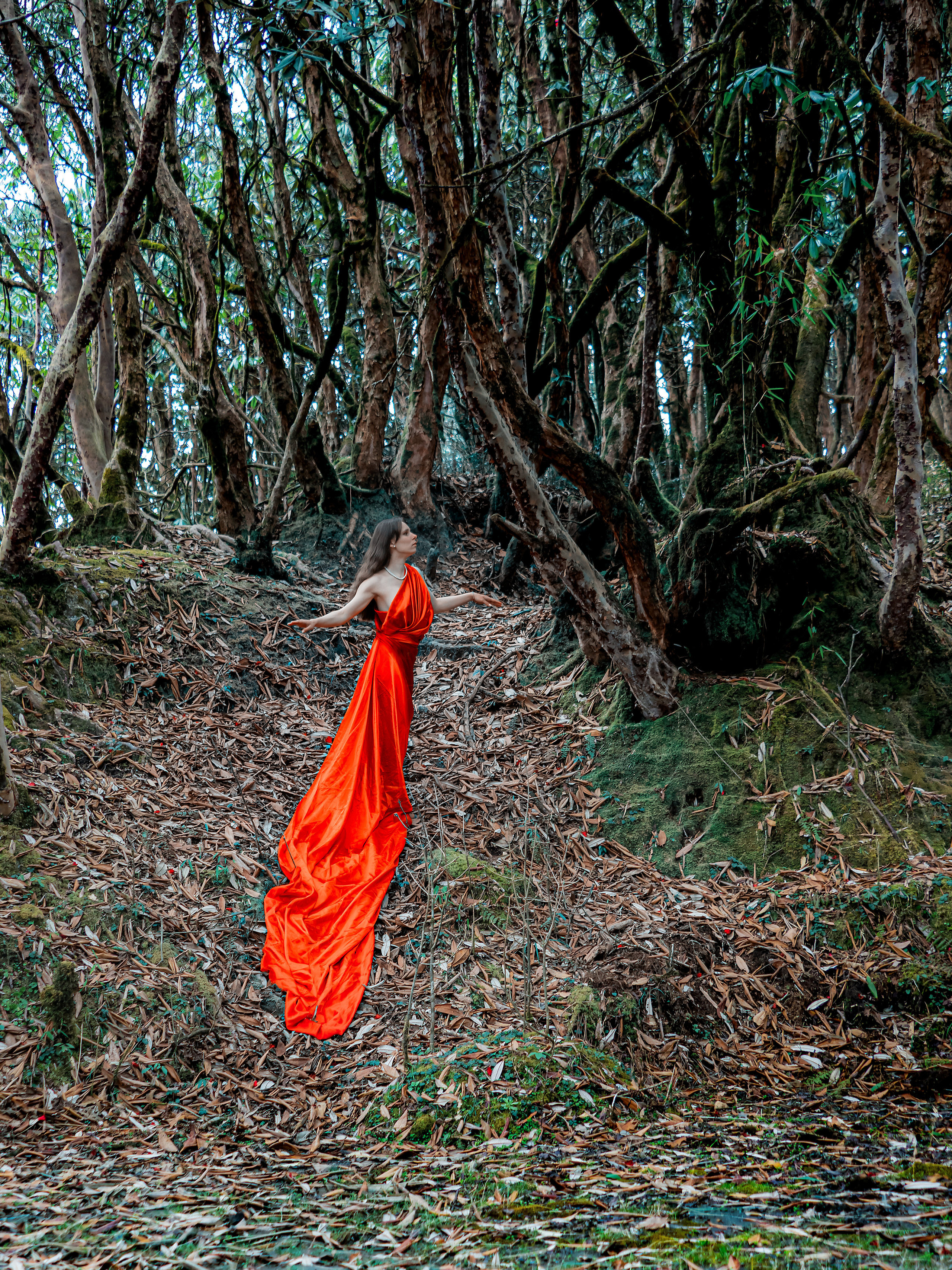 Непал, трек в районе Аннапурны, 2023. Творческие сьемки