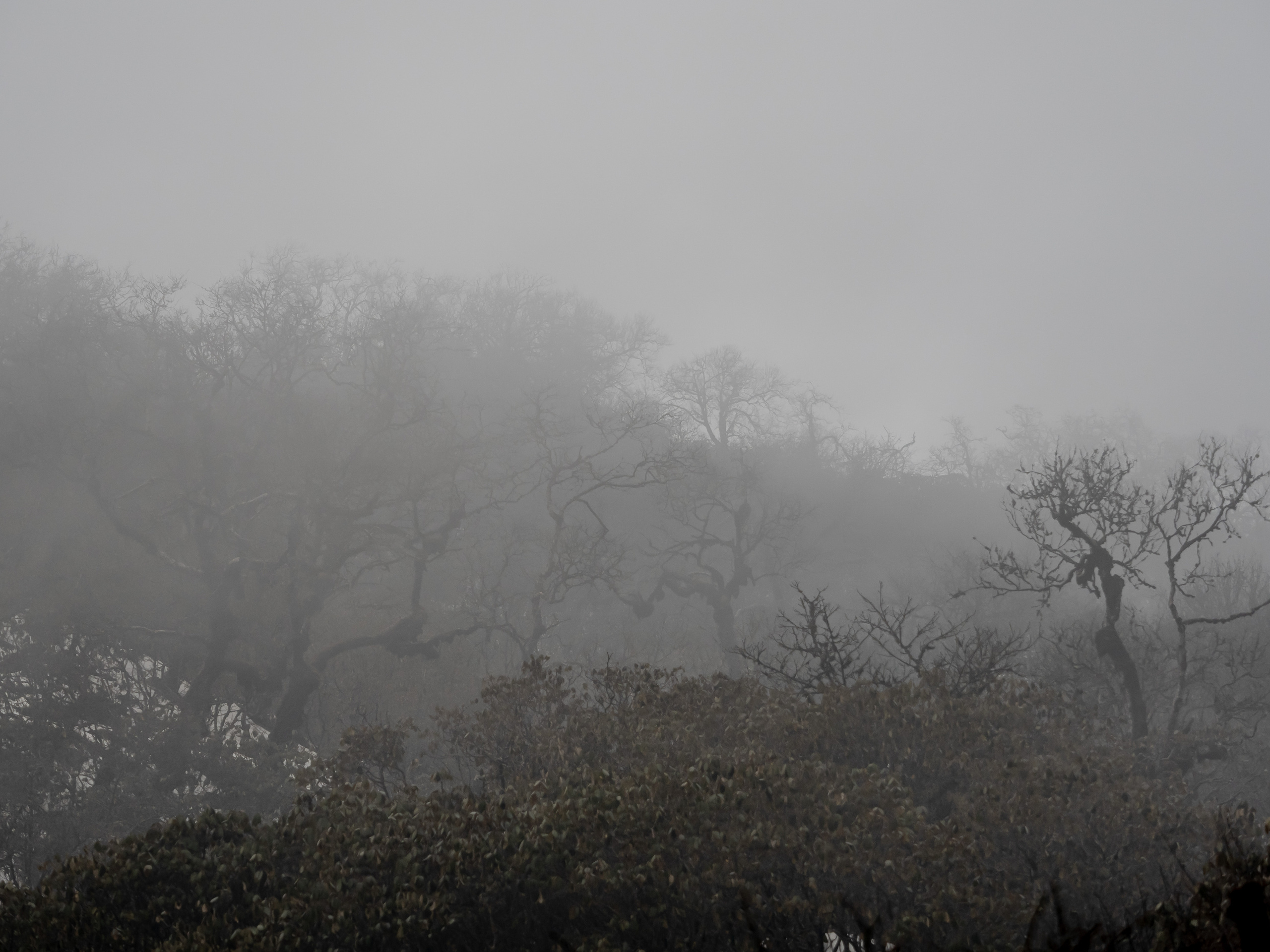 Непал, трек в районе Аннапурны, 2023. Творческие сьемки