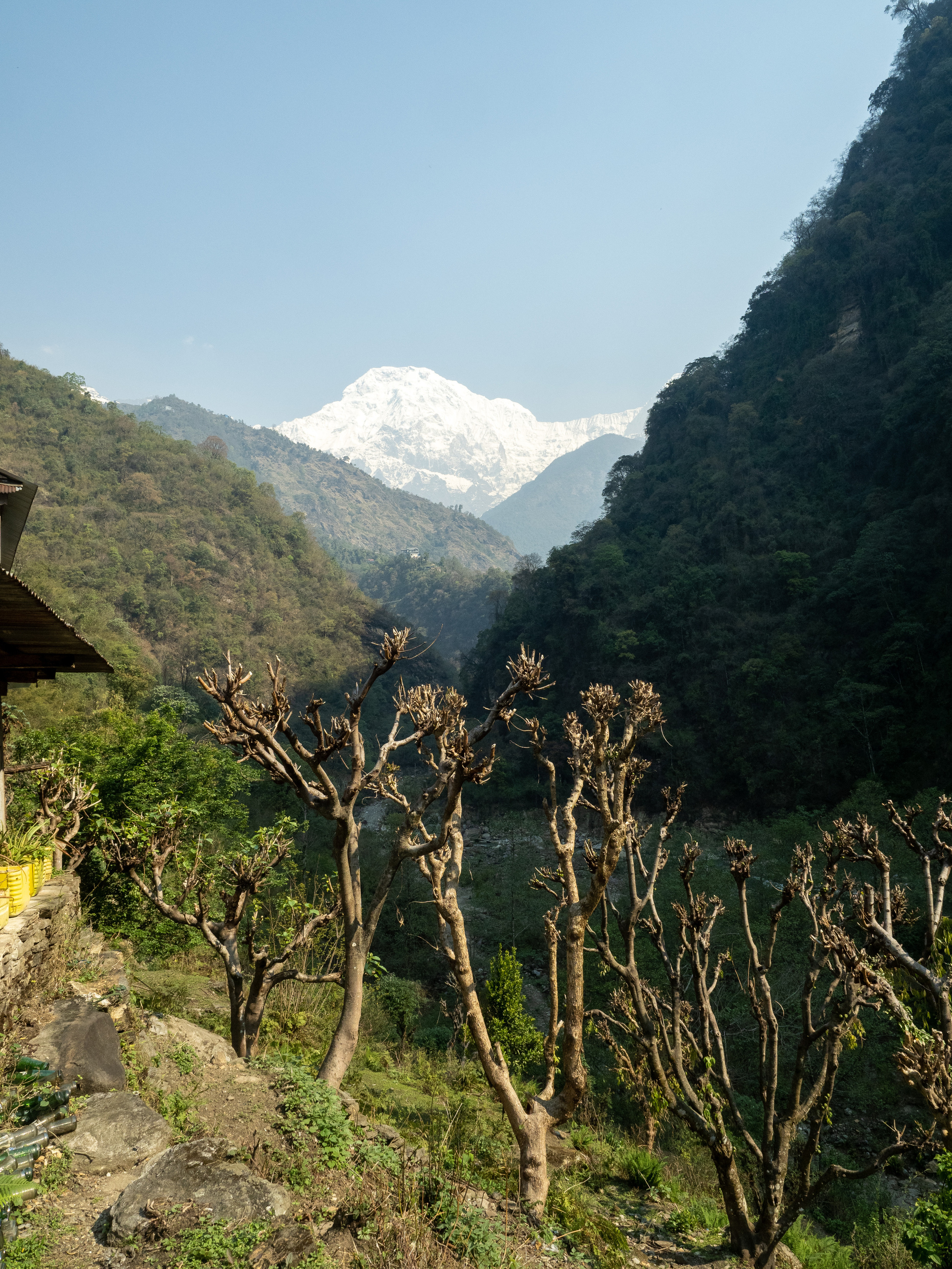 Непал, трек в районе Аннапурны, 2023. Творческие сьемки