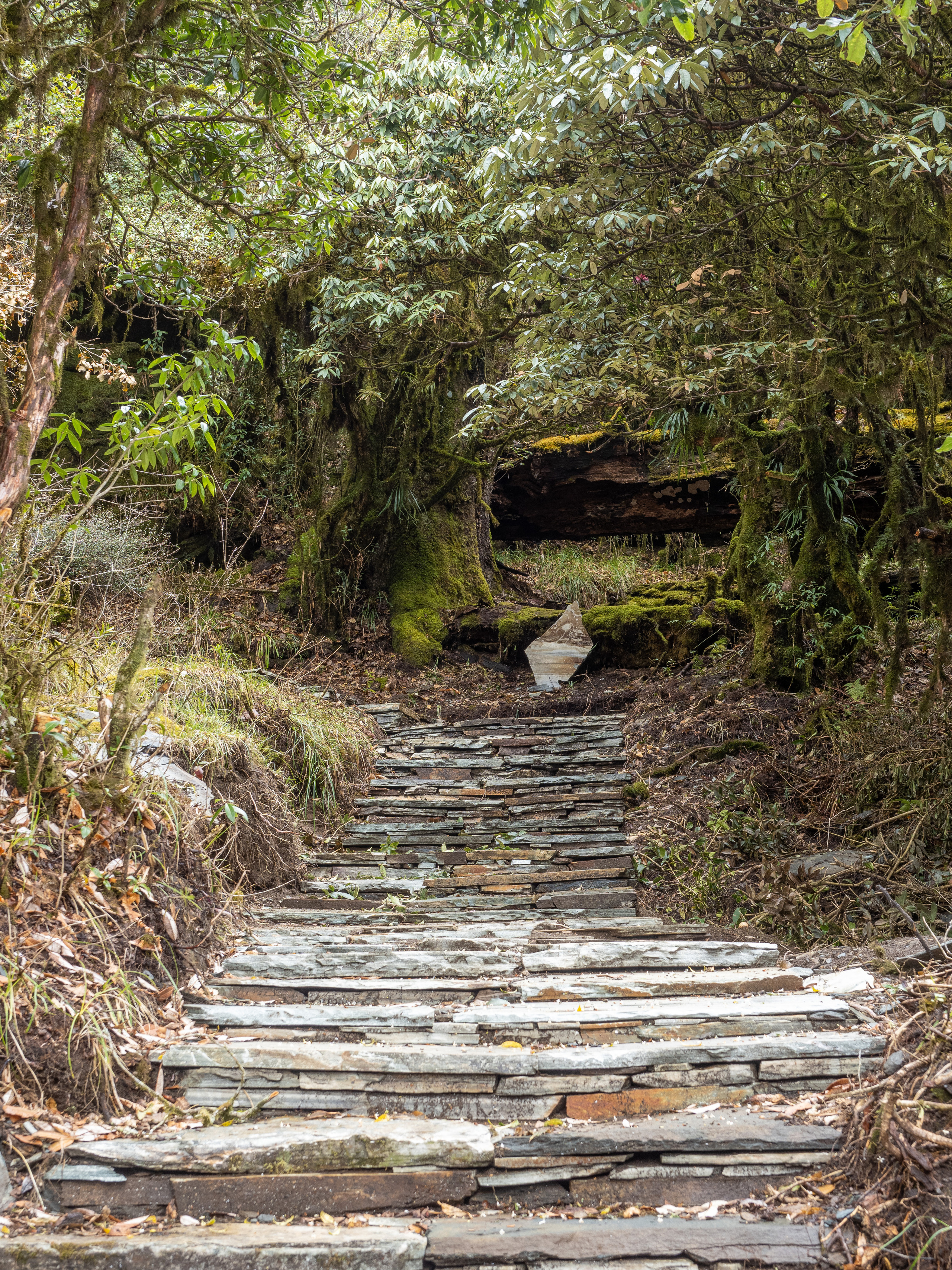 Непал, трек в районе Аннапурны, 2023. Творческие сьемки