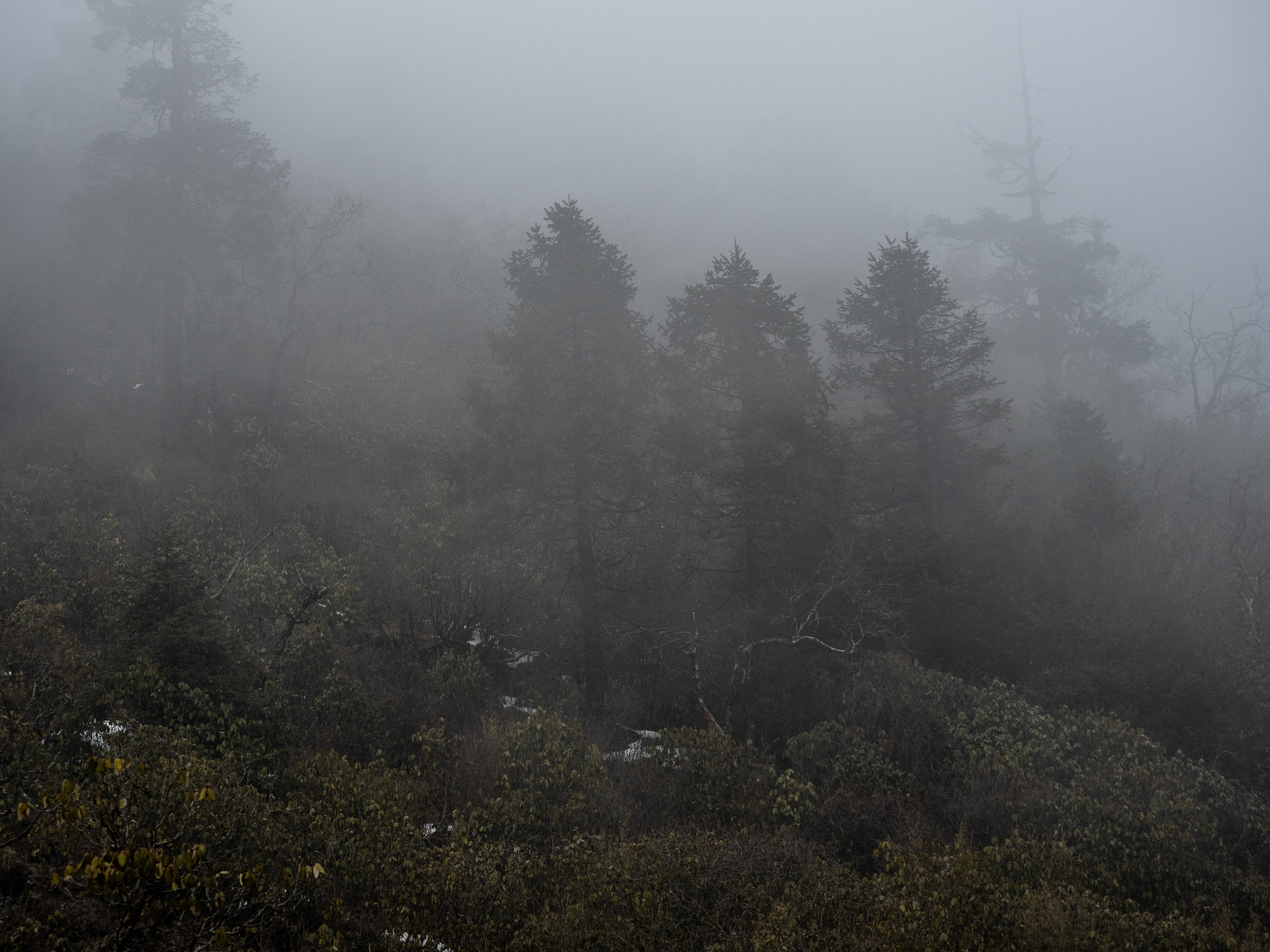 Непал, трек в районе Аннапурны, 2023. Творческие сьемки