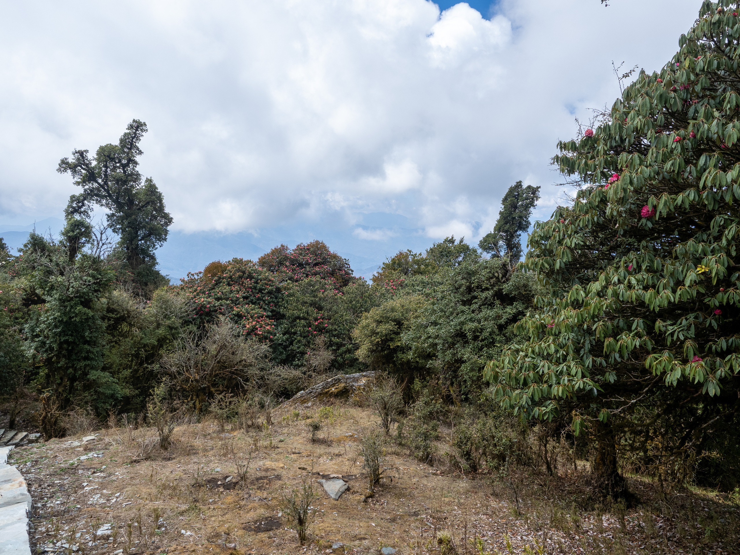 Непал, трек в районе Аннапурны, 2023. Творческие сьемки