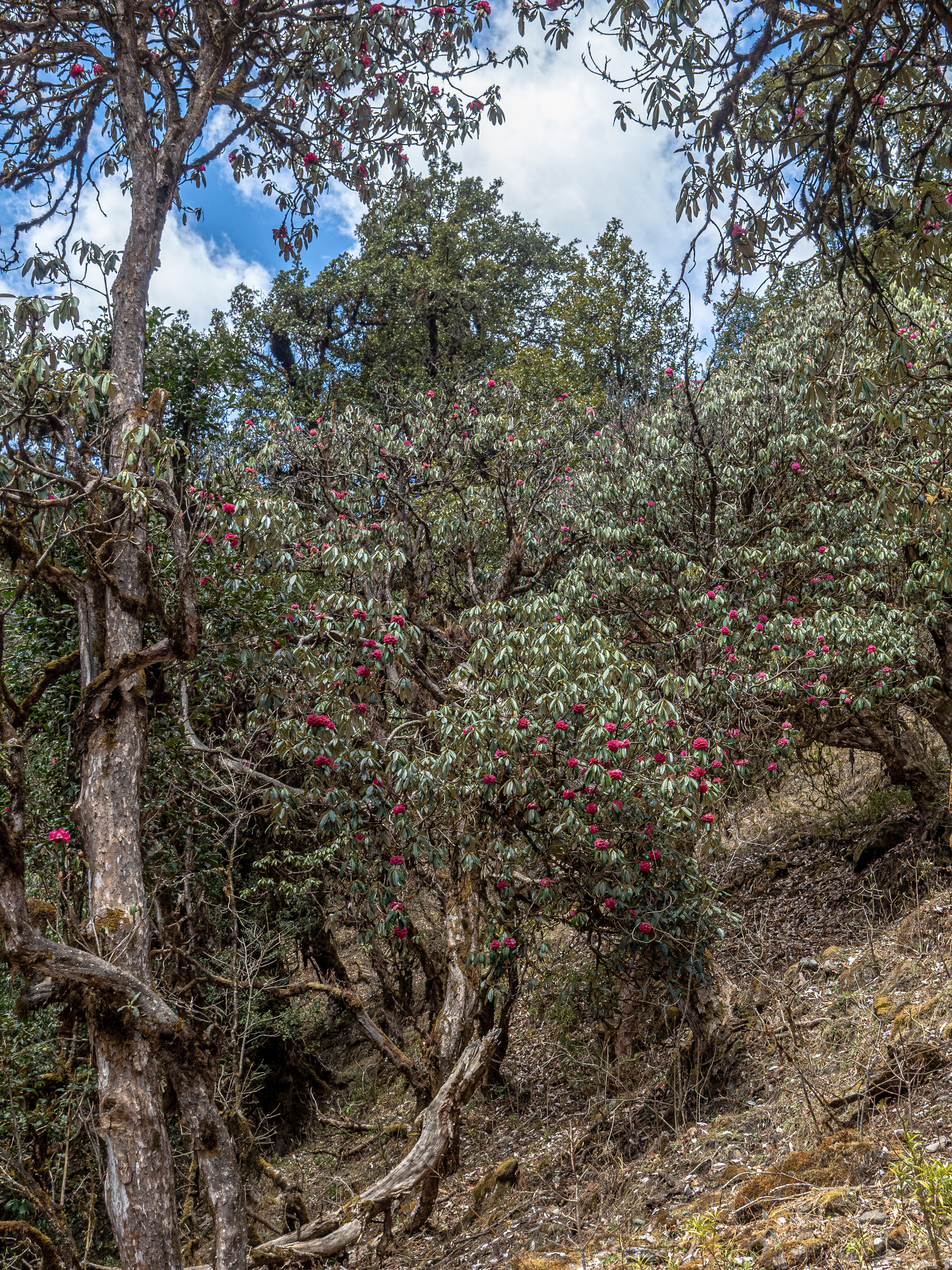 Непал, трек в районе Аннапурны, 2023. Творческие сьемки