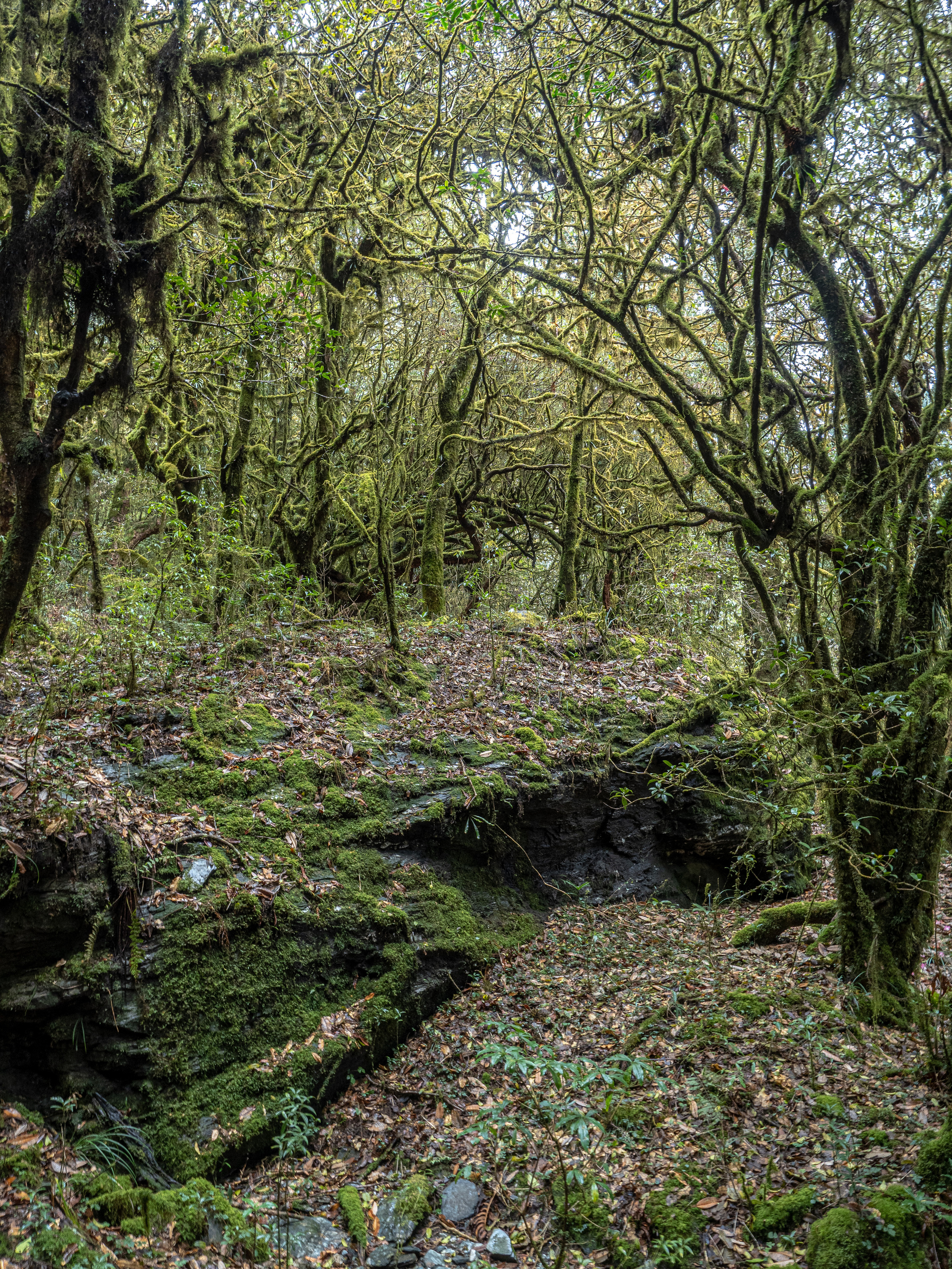 Непал, трек в районе Аннапурны, 2023. Творческие сьемки
