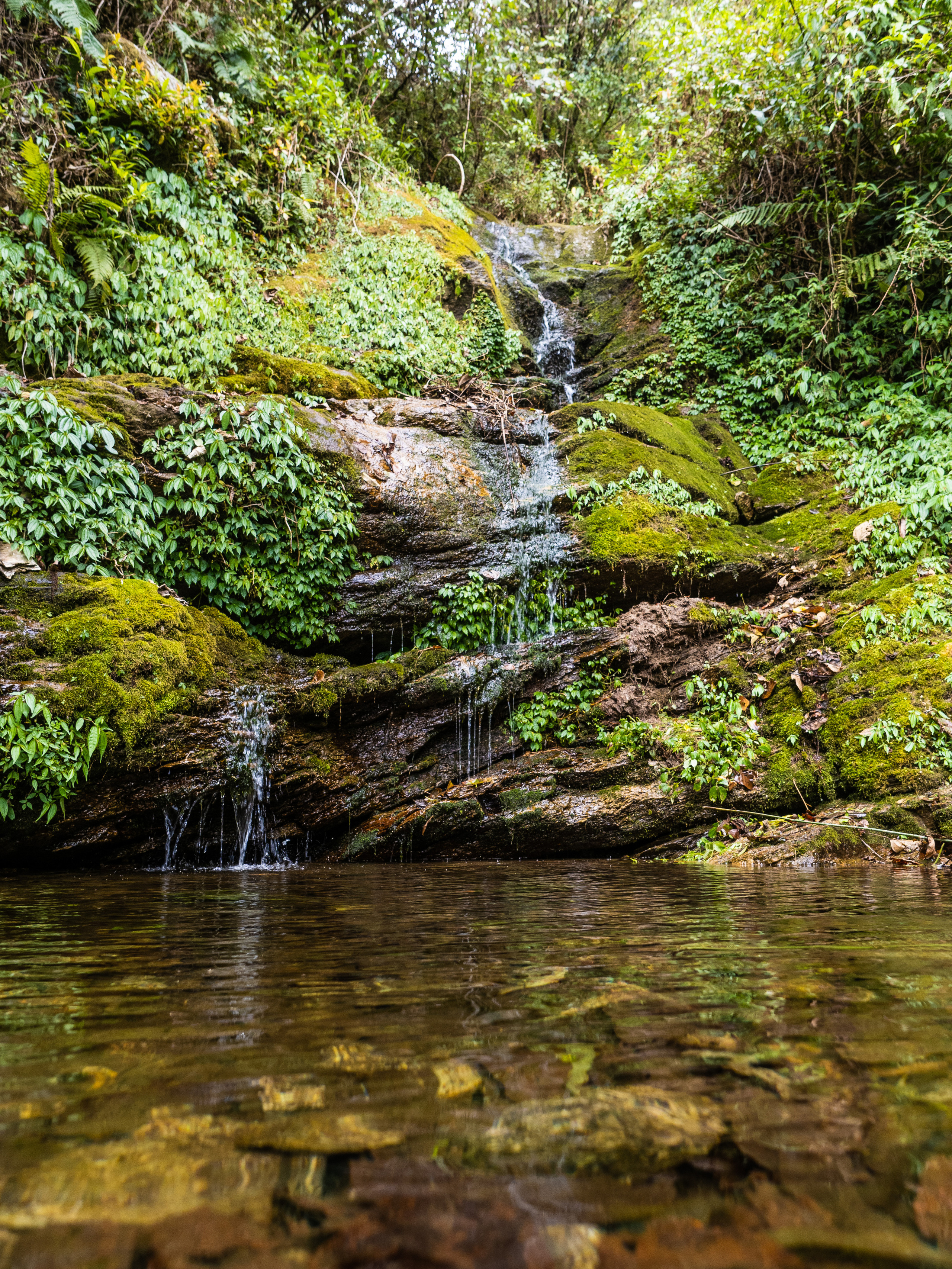 Непал, трек в районе Аннапурны, 2023. Творческие сьемки