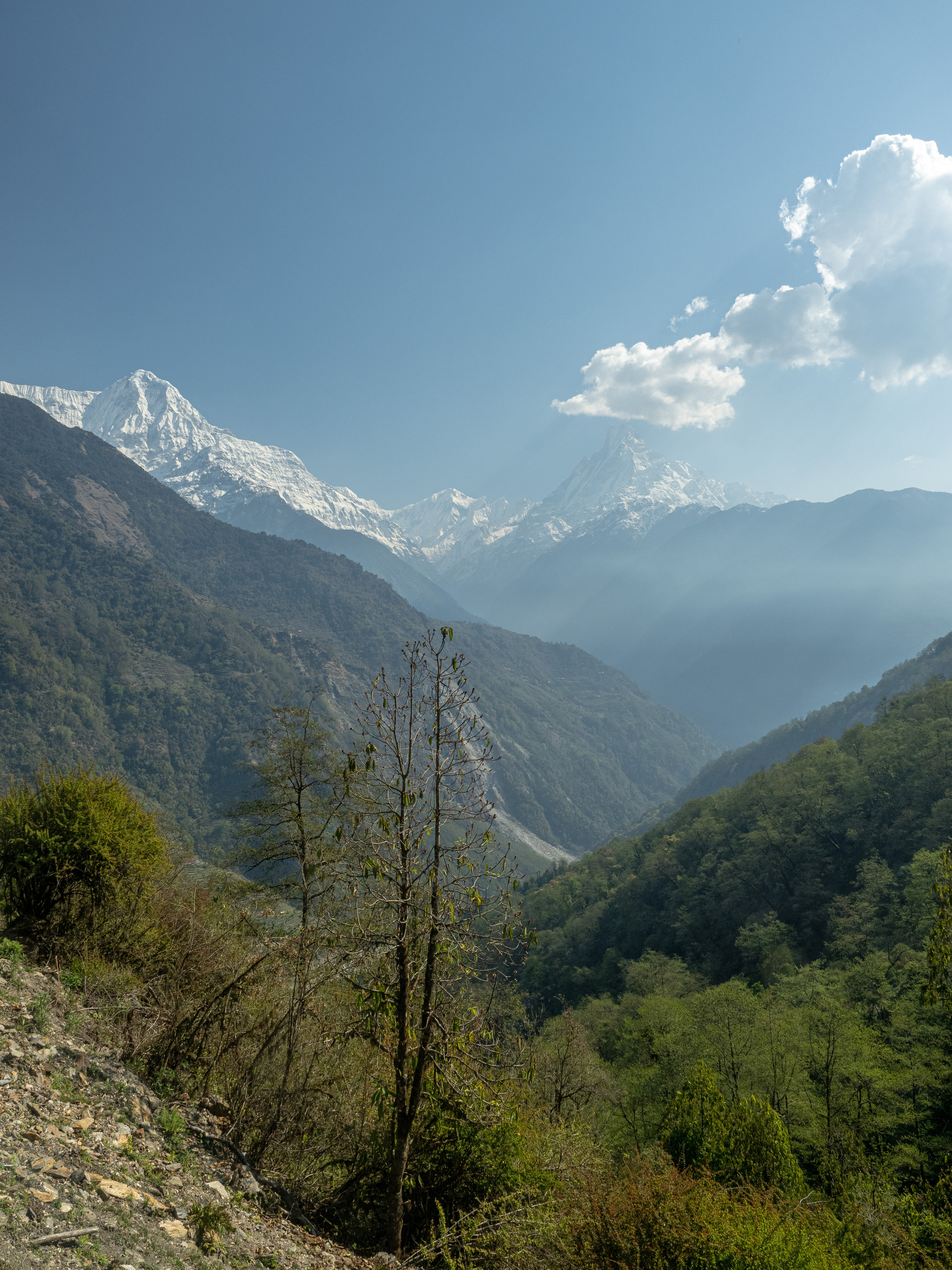 Непал, трек в районе Аннапурны, 2023. Творческие сьемки