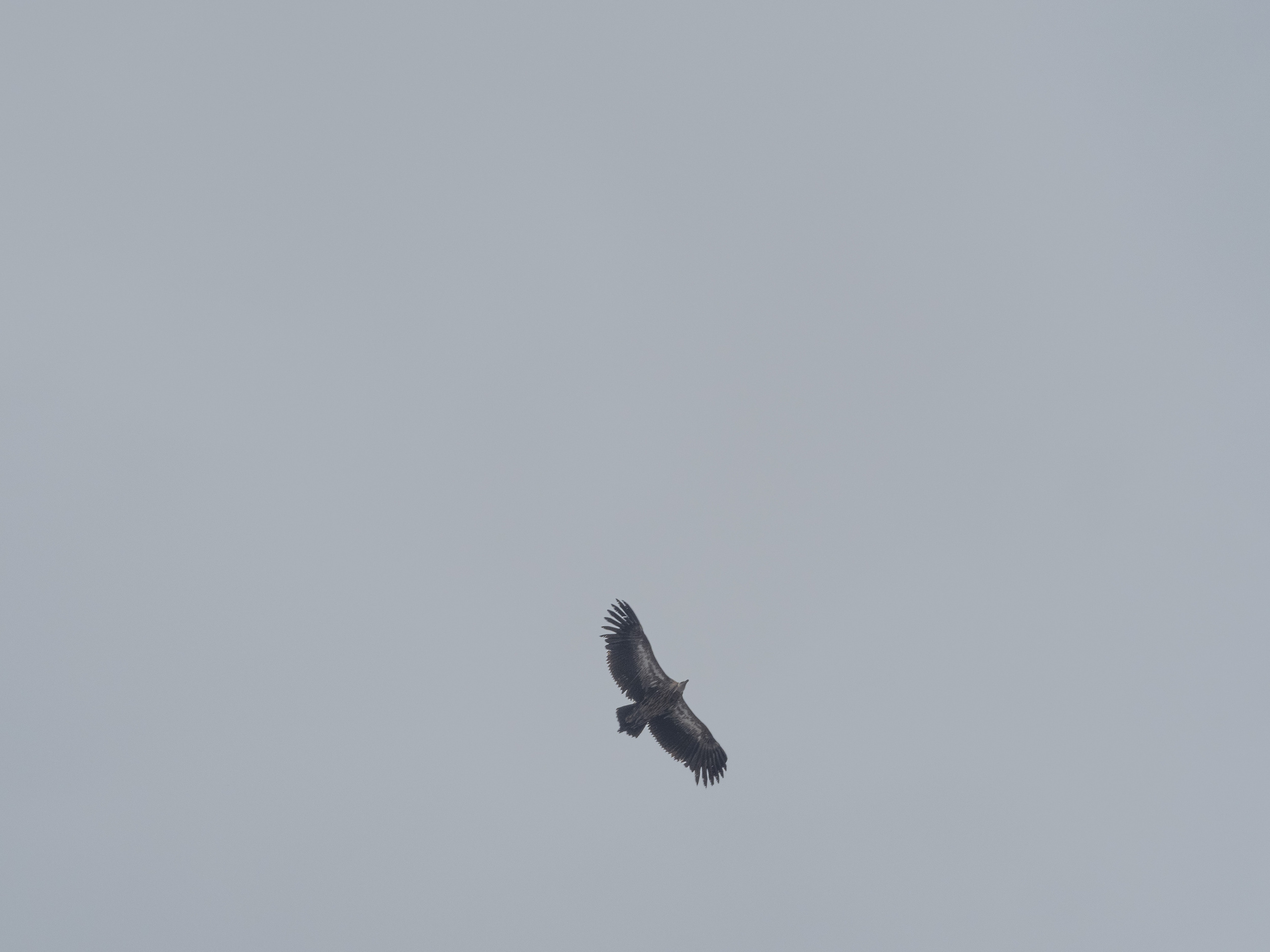 Непал, трек в районе Аннапурны, 2023. Творческие сьемки