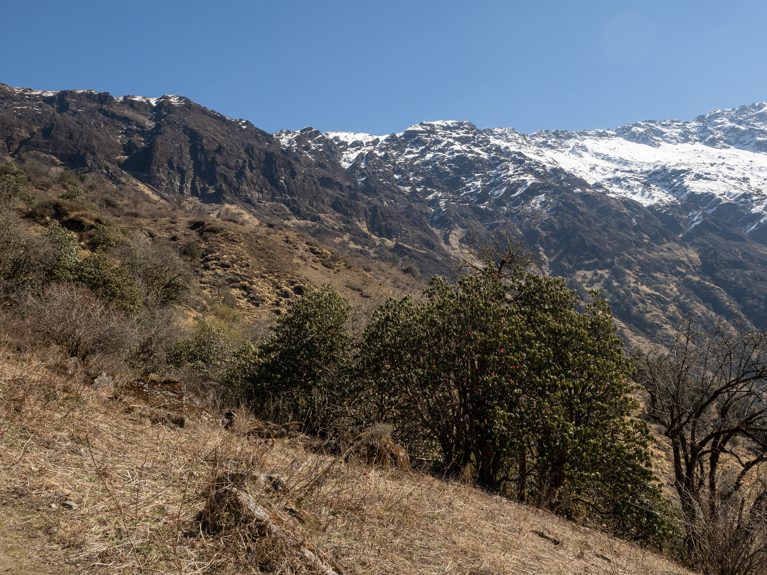 Непал, трек в районе Аннапурны, 2023. Творческие сьемки