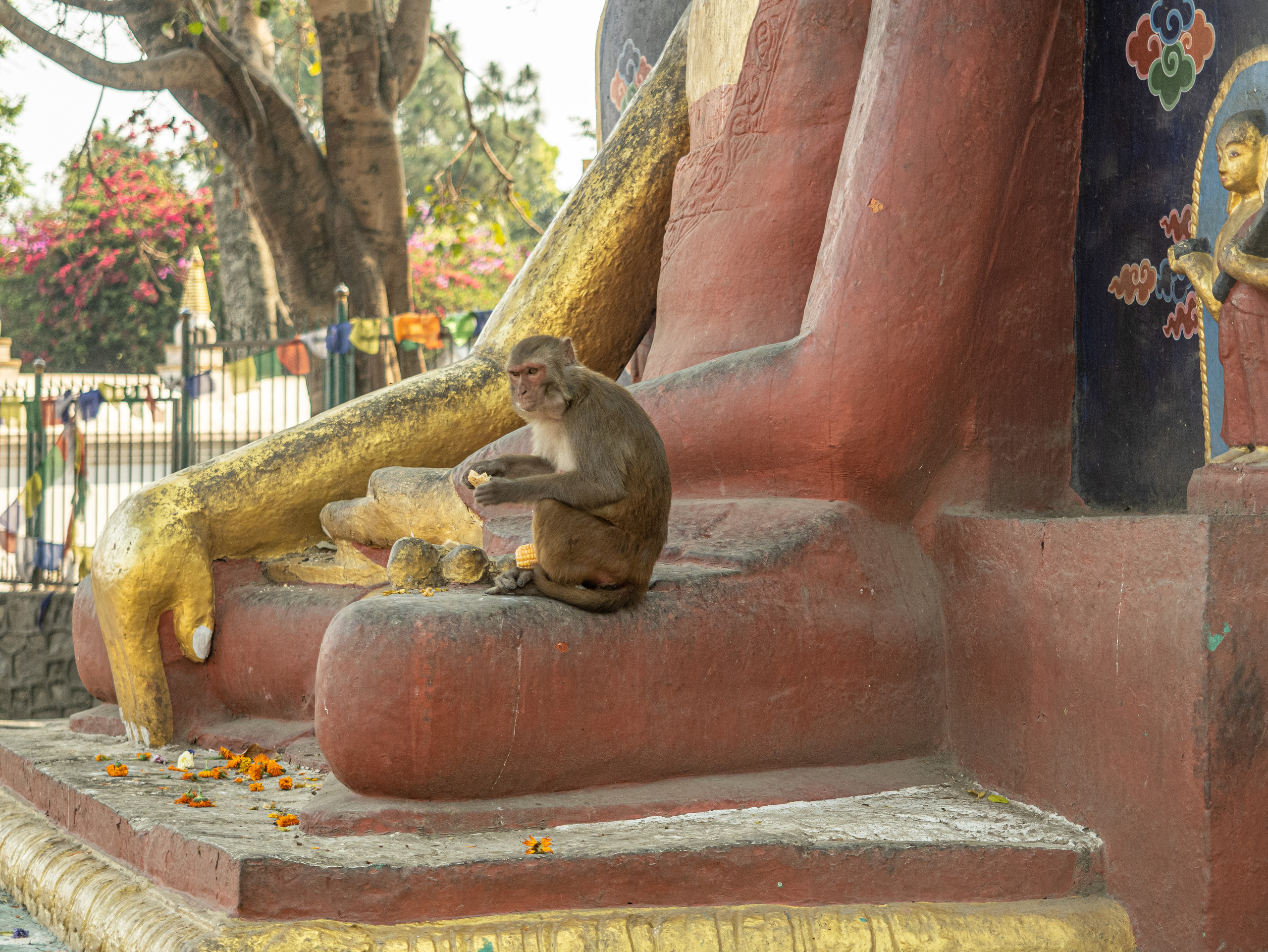 Непал, трек в районе Аннапурны, 2023. Творческие сьемки