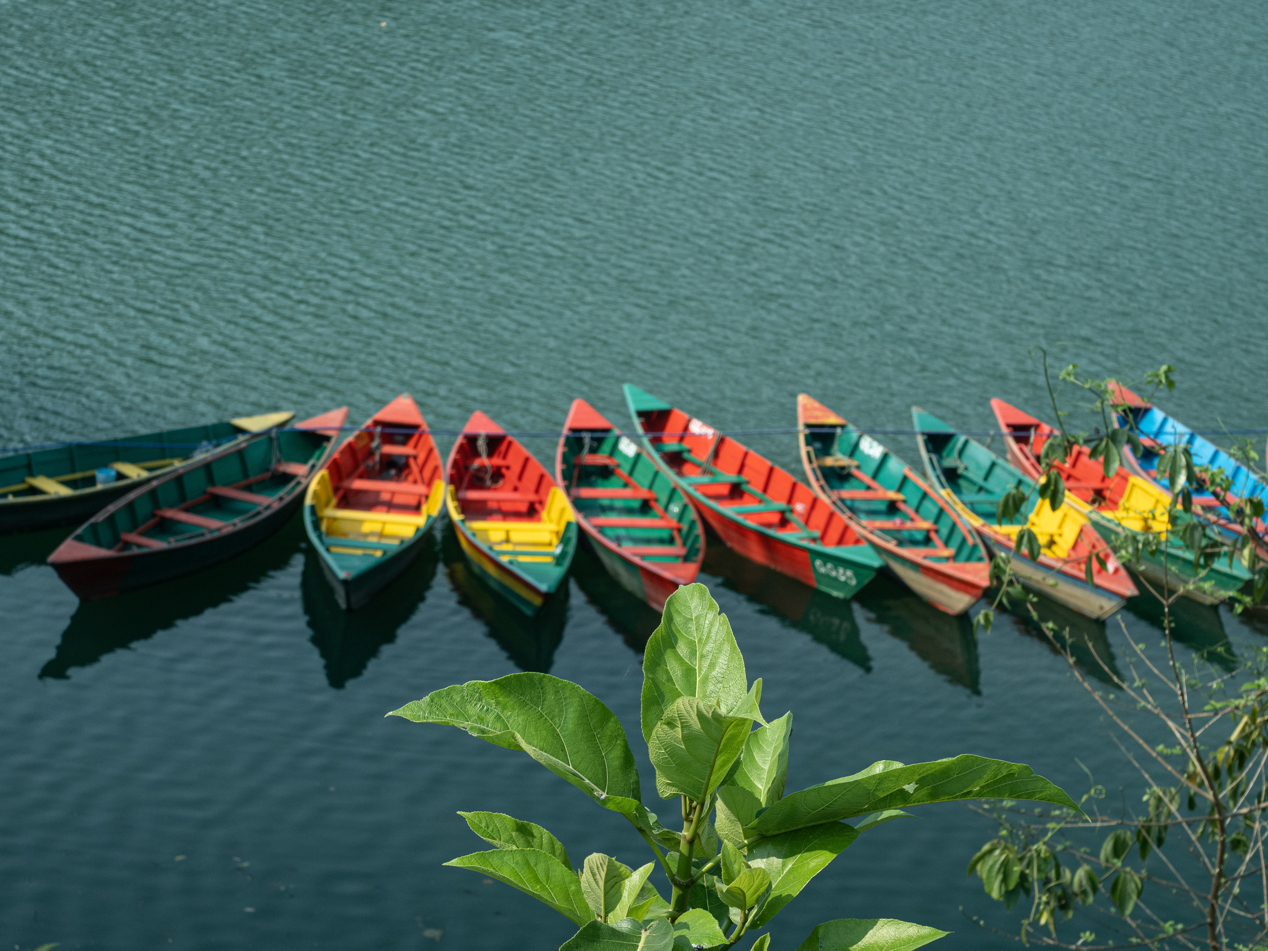 Непал, трек в районе Аннапурны, 2023. Творческие сьемки