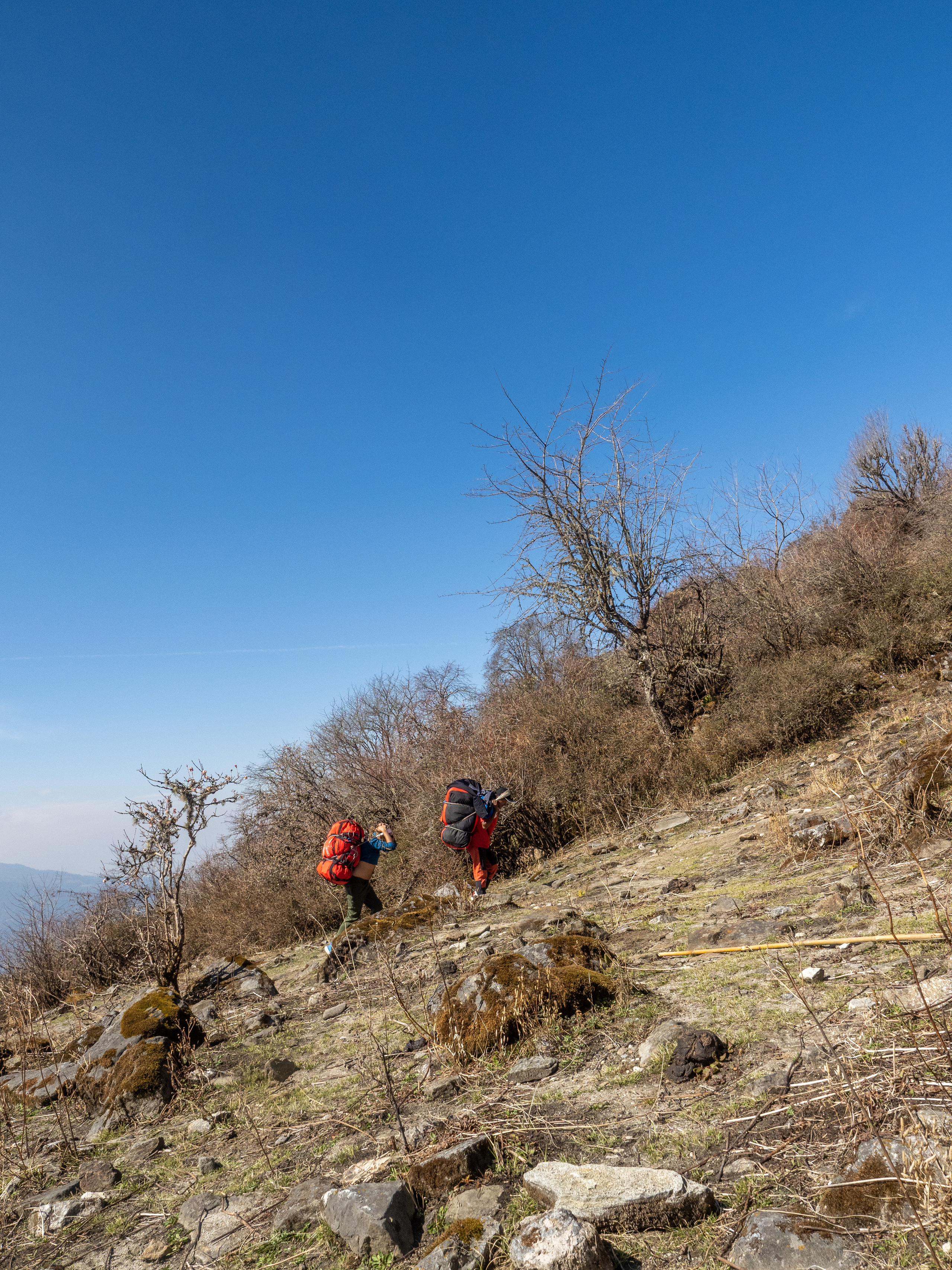 Непал, трек в районе Аннапурны, 2023. Творческие сьемки