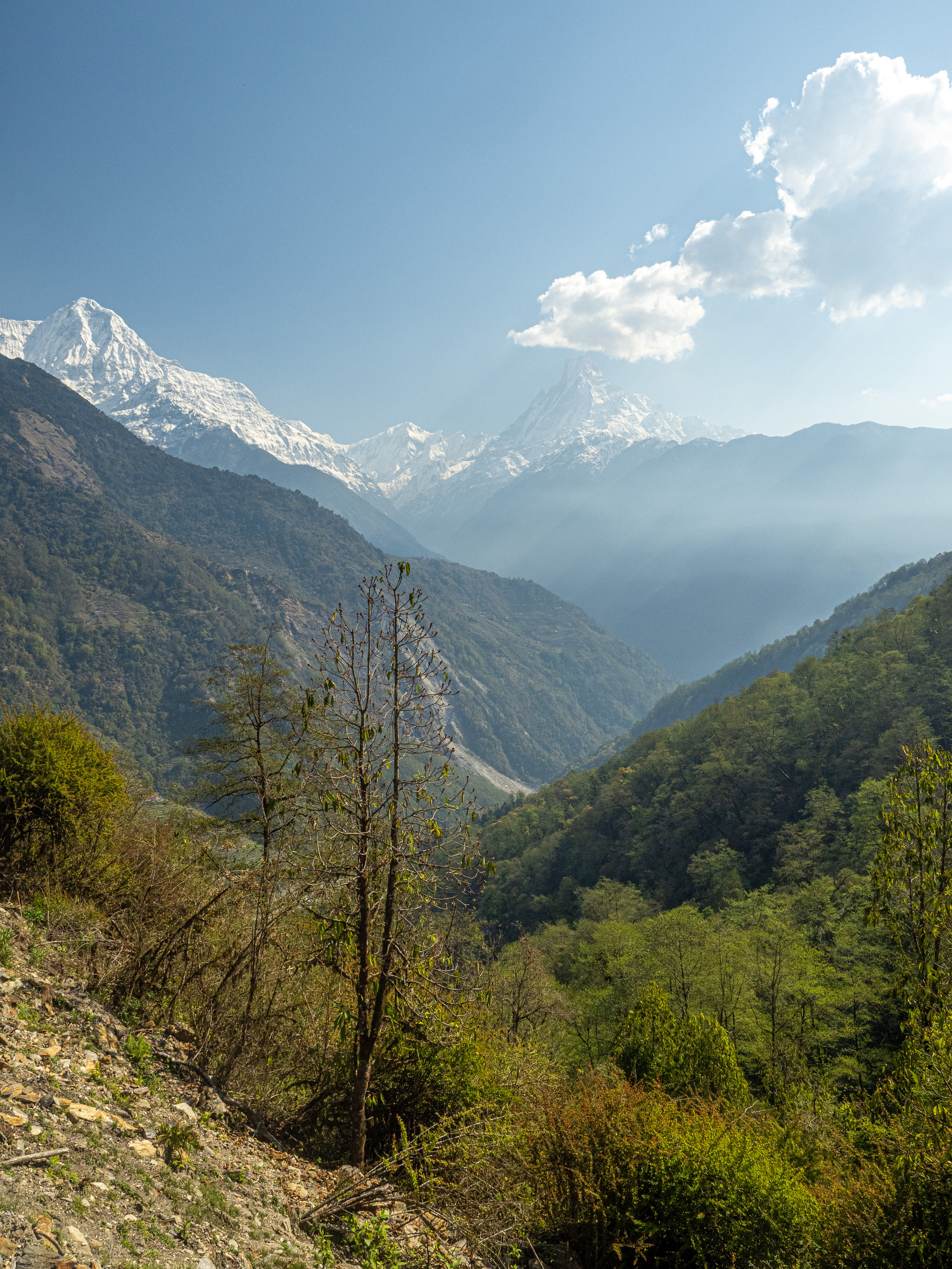Непал, трек в районе Аннапурны, 2023. Творческие сьемки