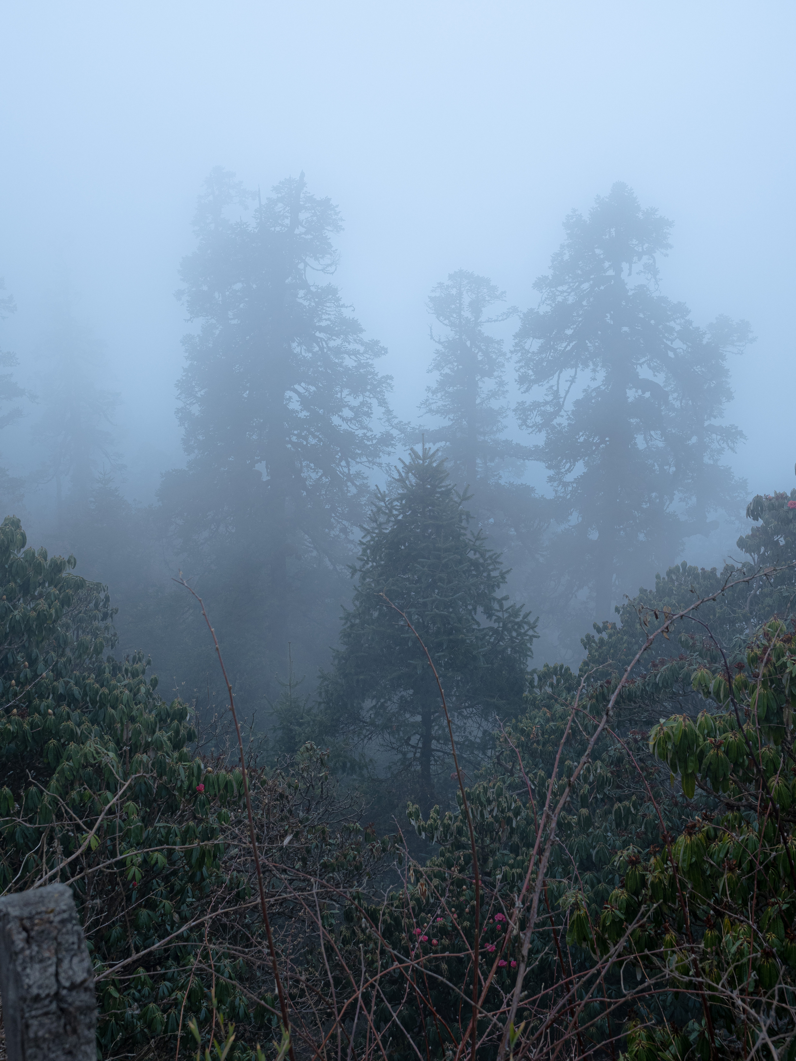 Непал, трек в районе Аннапурны, 2023. Творческие сьемки