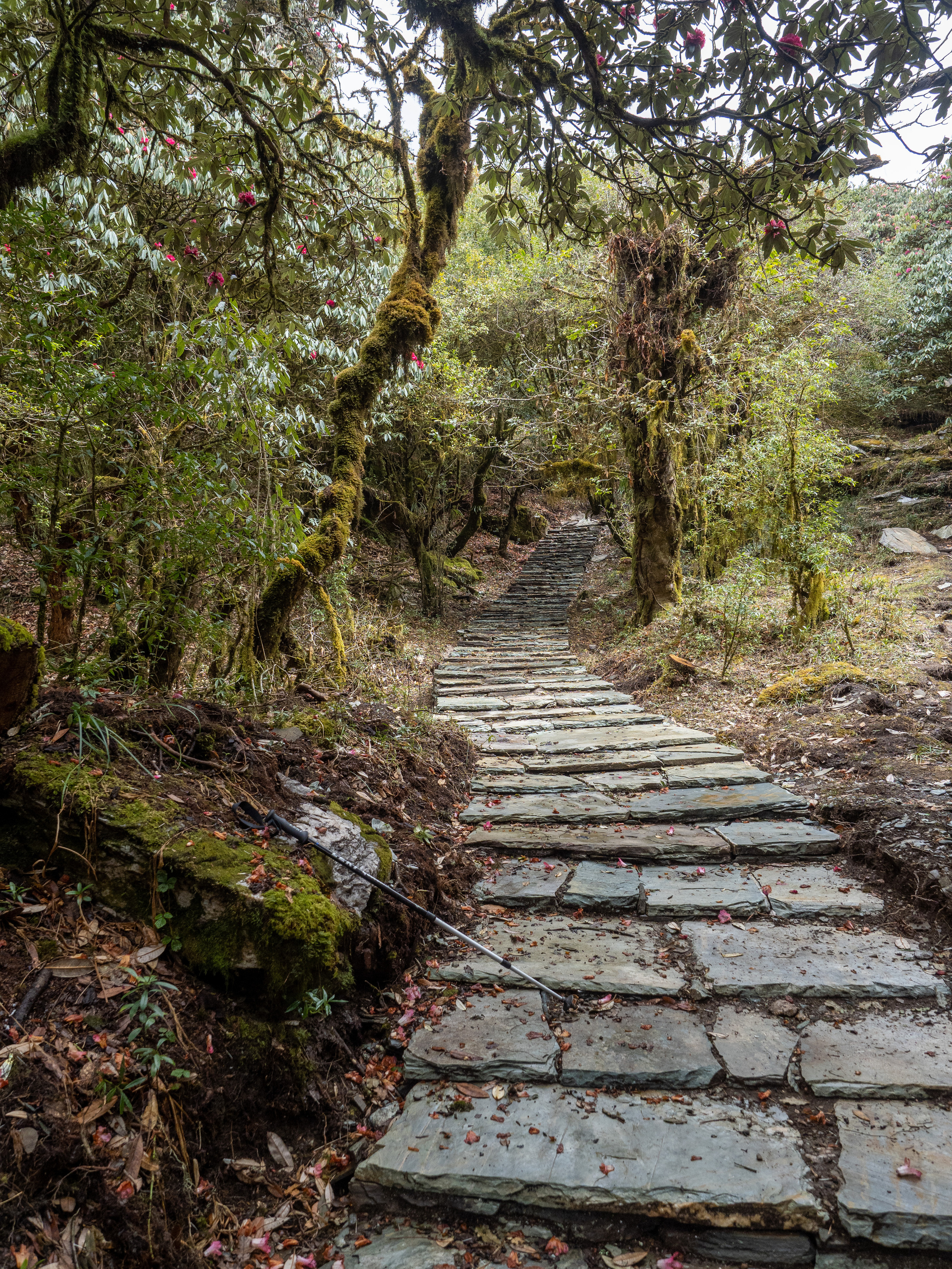 Непал, трек в районе Аннапурны, 2023. Творческие сьемки