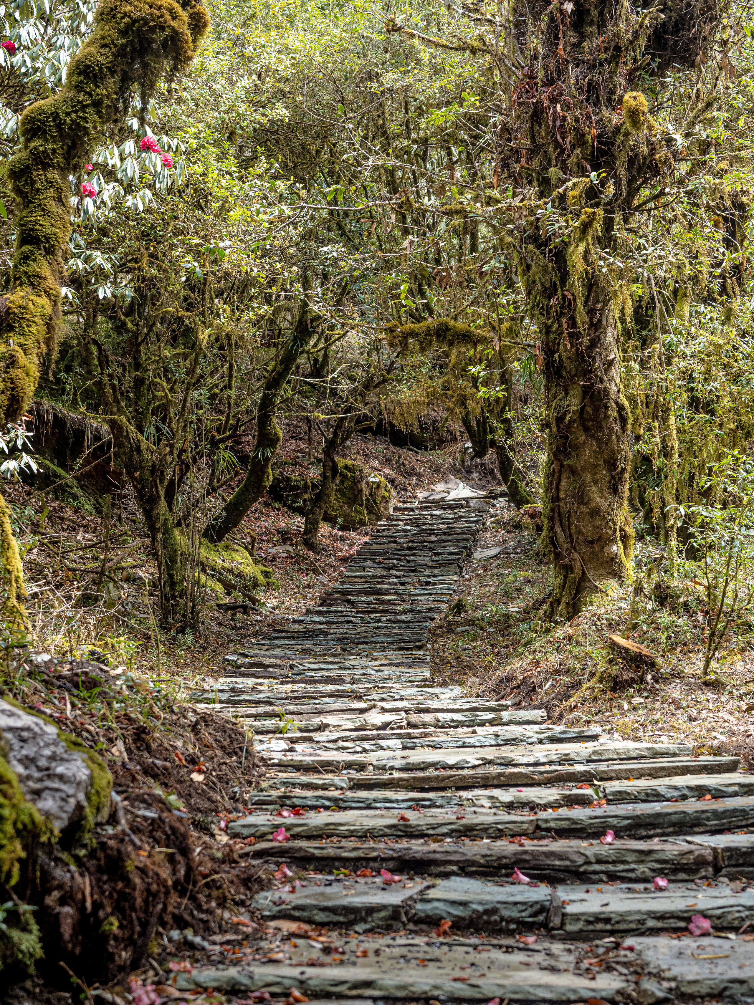 Непал, трек в районе Аннапурны, 2023. Творческие сьемки