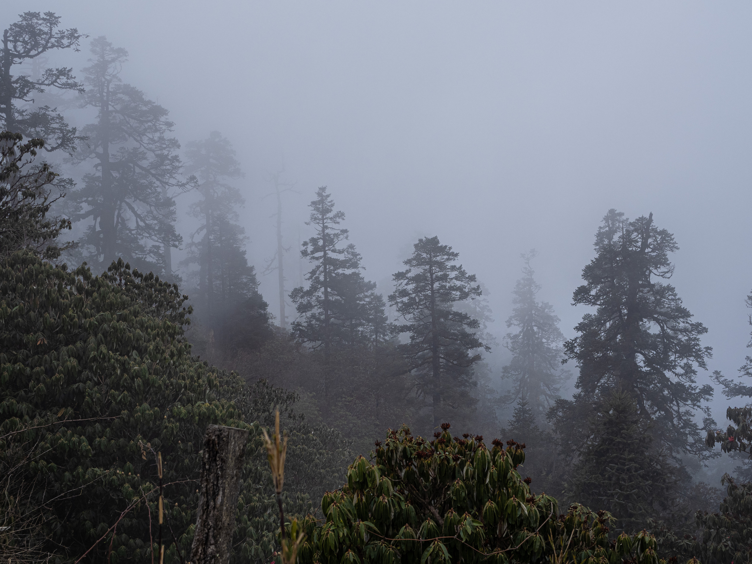 Непал, трек в районе Аннапурны, 2023. Творческие сьемки