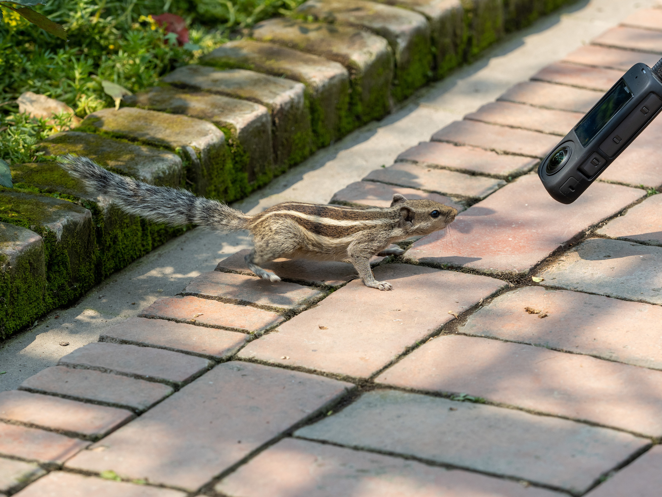 Непал, трек в районе Аннапурны, 2023. Творческие сьемки