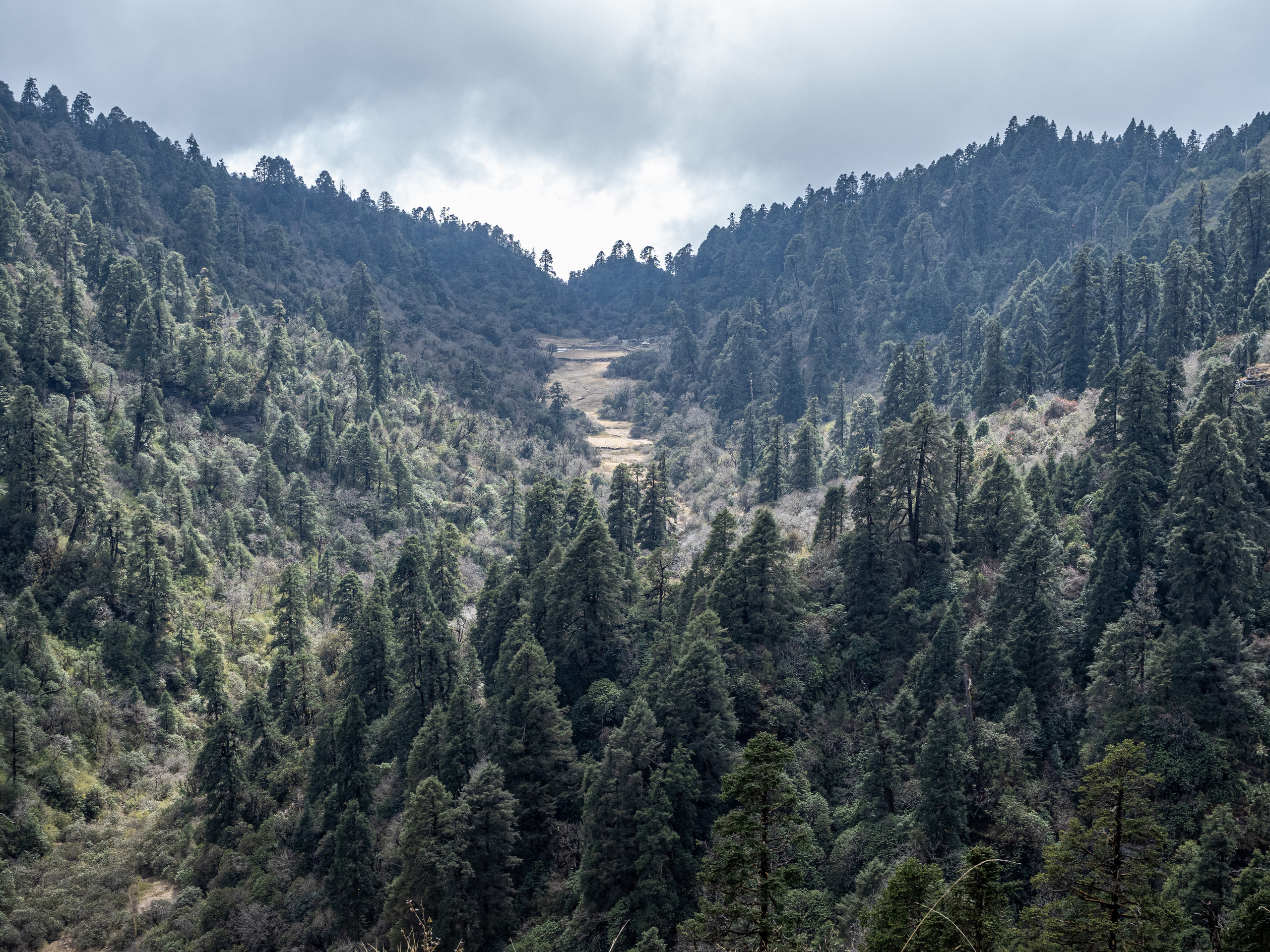 Непал, трек в районе Аннапурны, 2023. Творческие сьемки