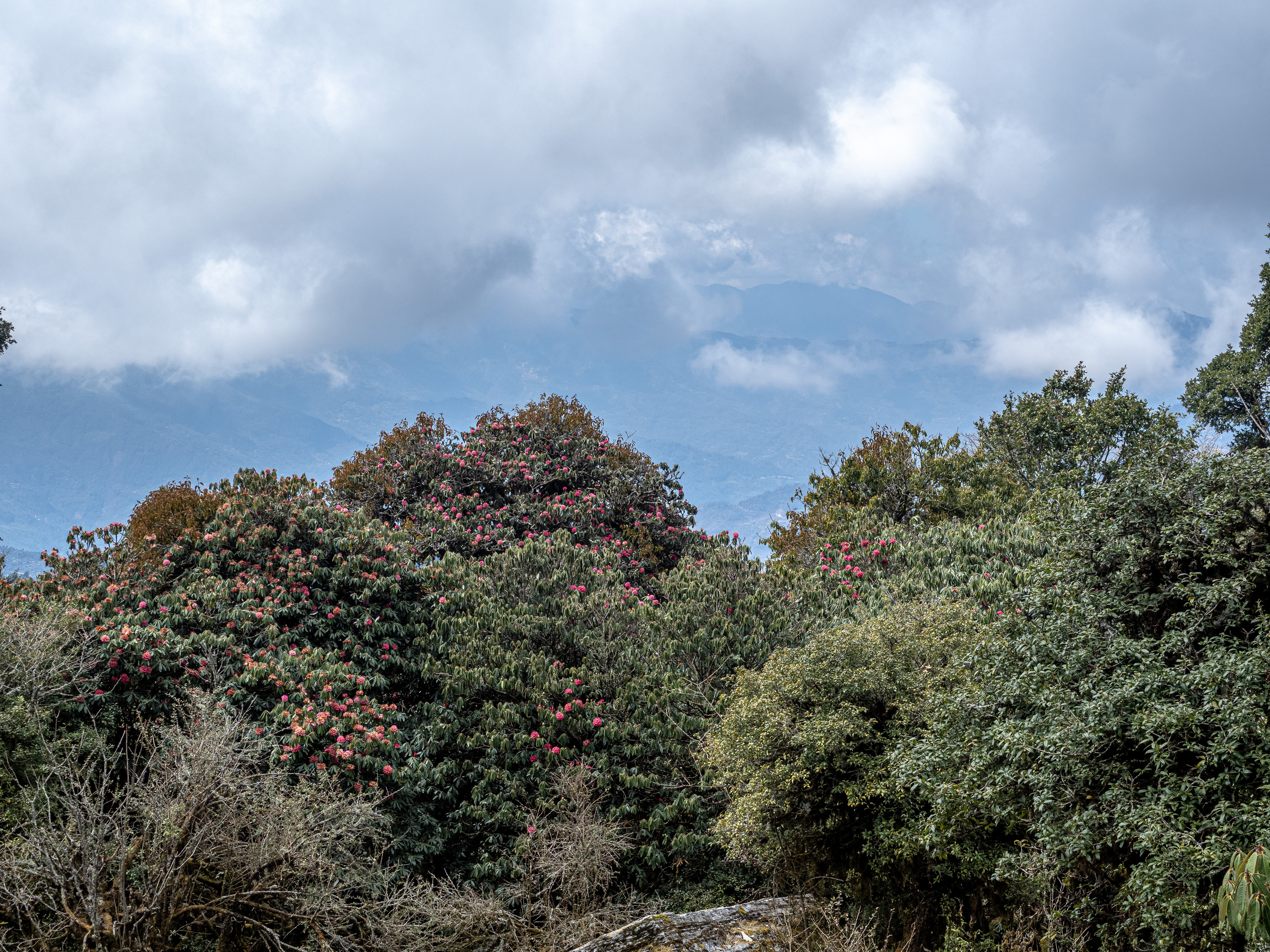 Непал, трек в районе Аннапурны, 2023. Творческие сьемки