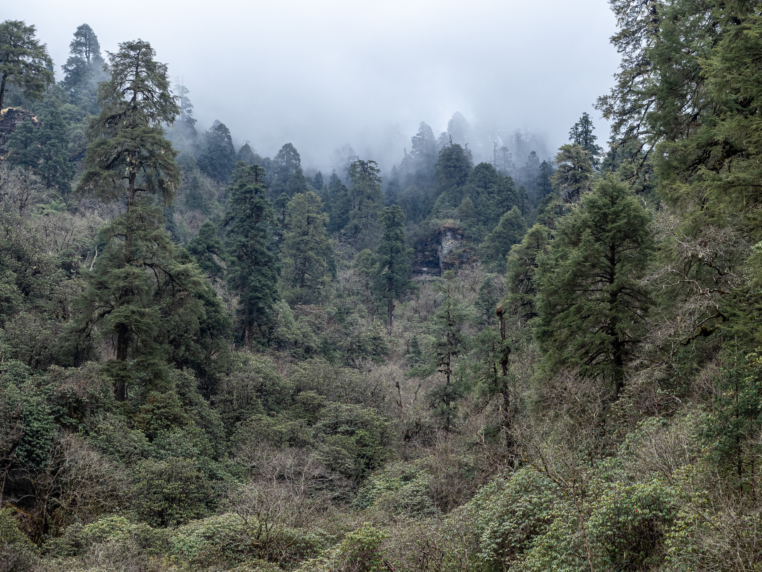 Непал, трек в районе Аннапурны, 2023. Творческие сьемки