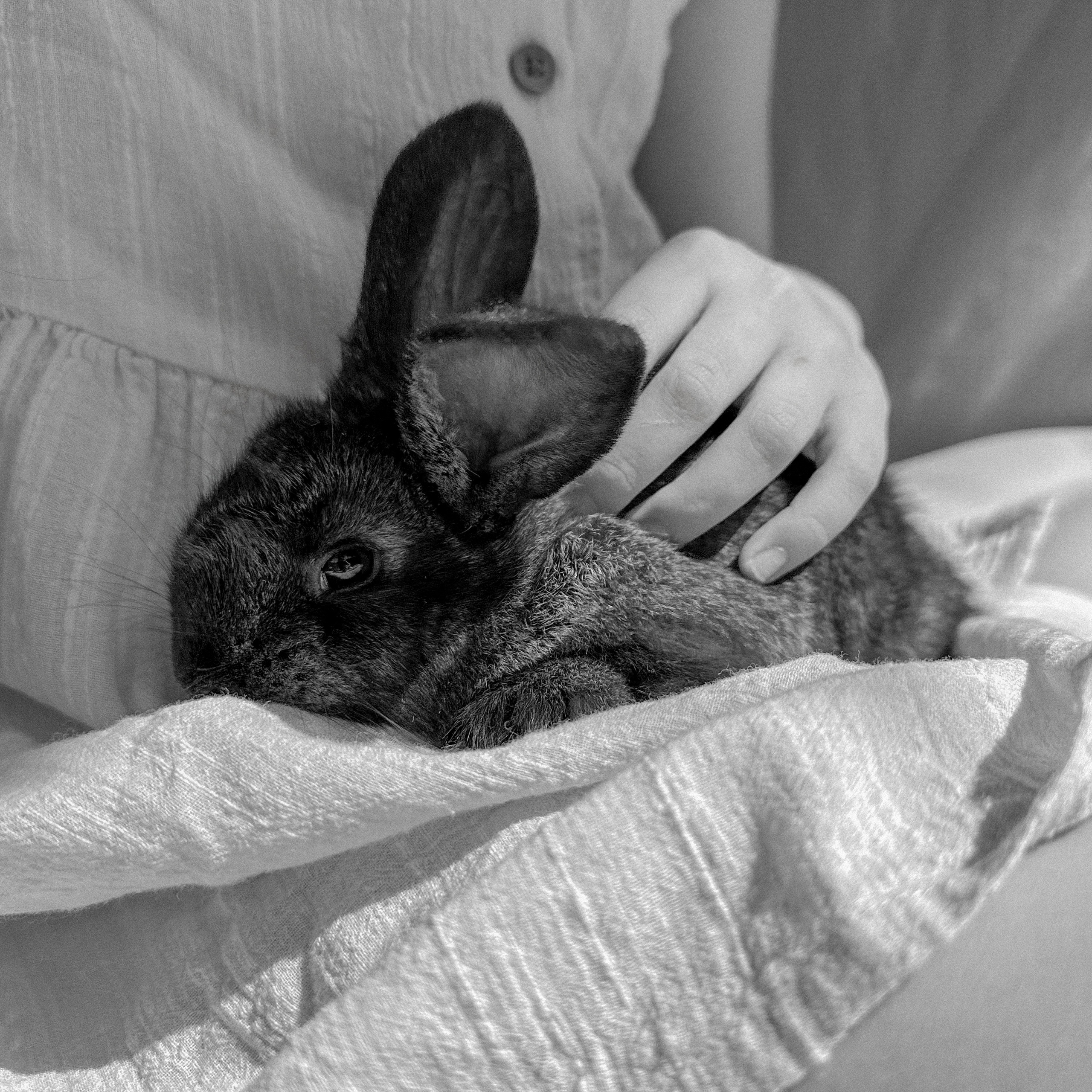 УШАСТАЯ ИСТОРИЯ…. FotoTanya. Раменское/Жуковский/Бронницы