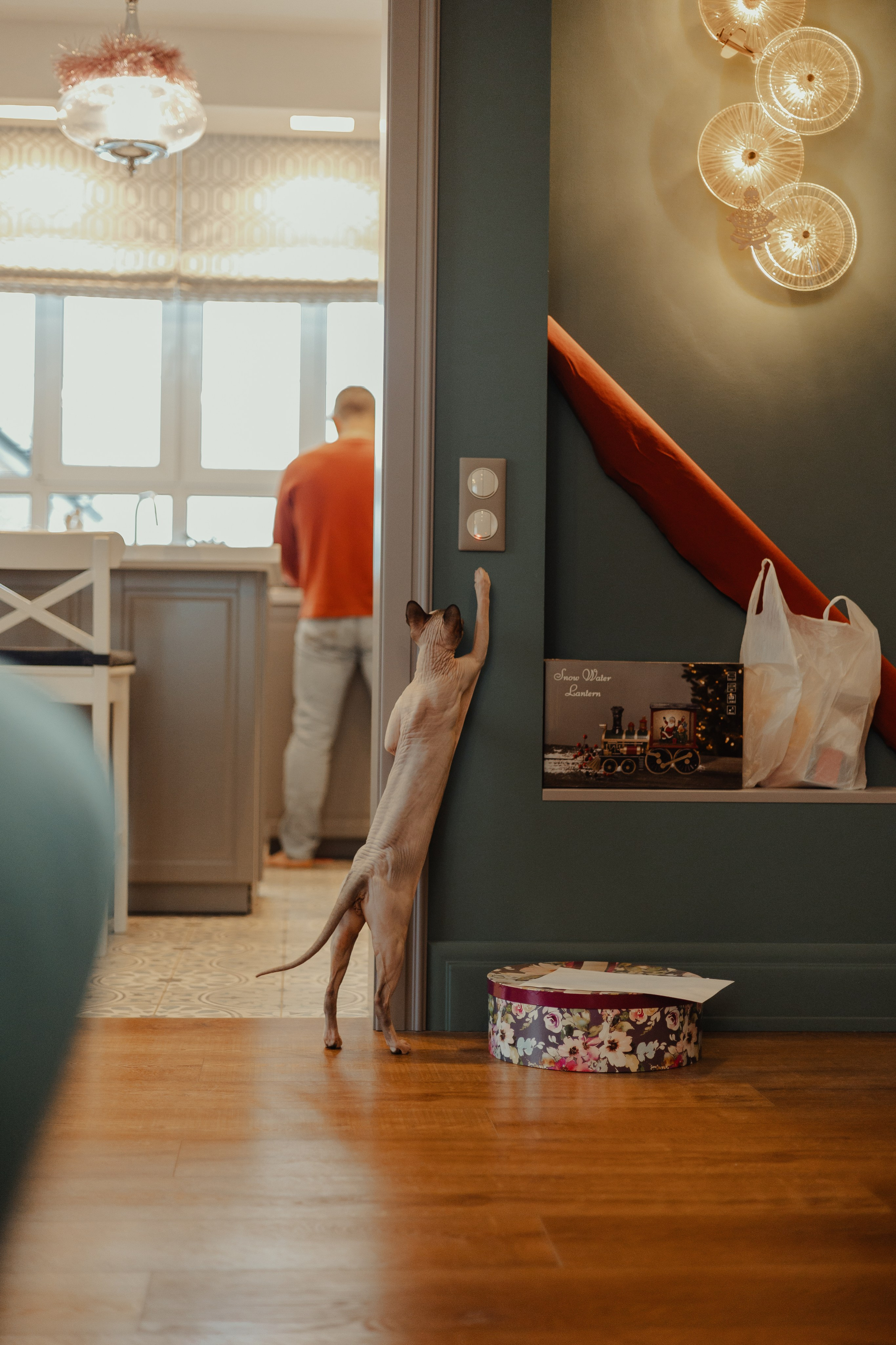 Алина, Илья и их хвосты. Фотограф Анималист Екатерина Справцева в Нижнем Новгороде