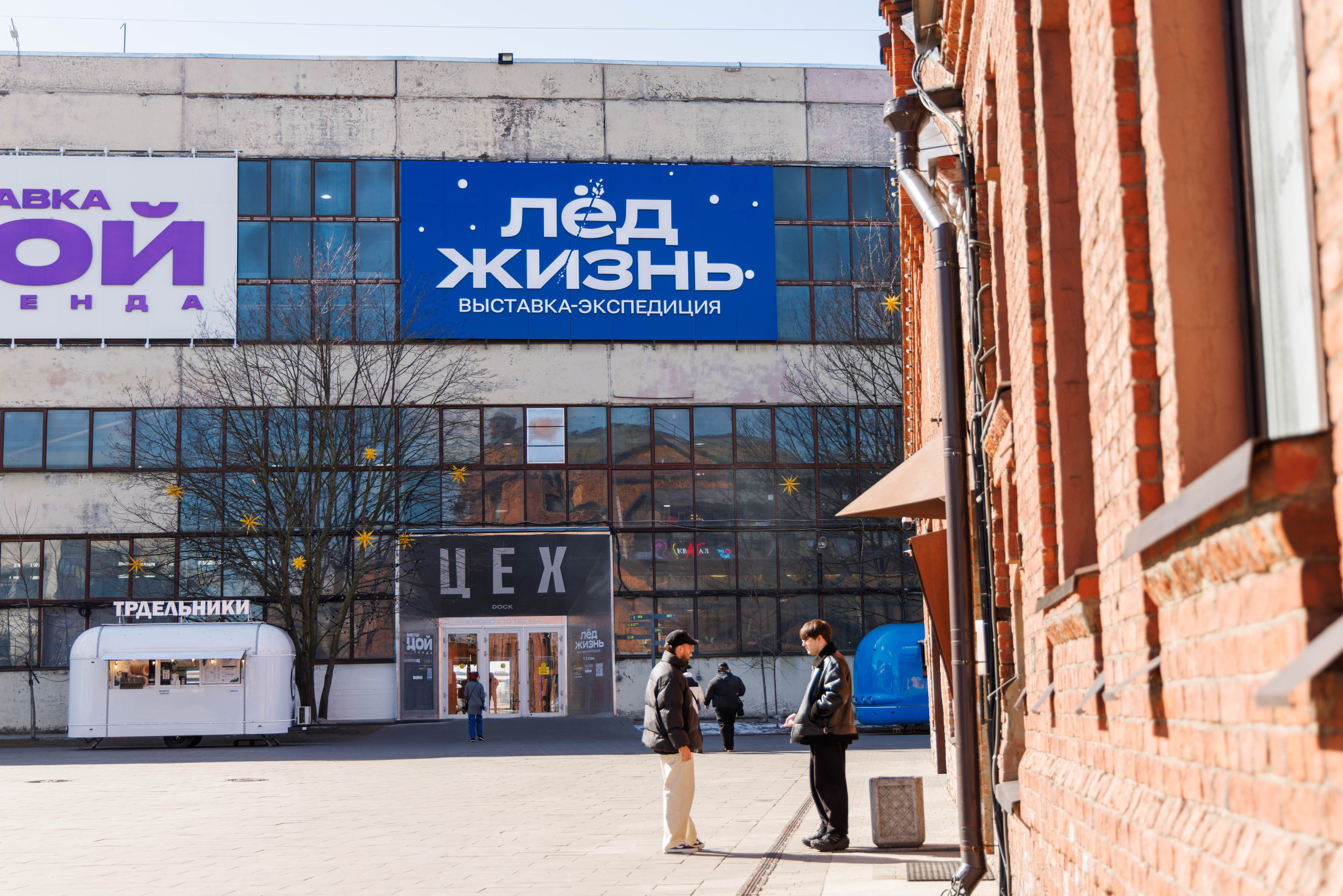 Лед. Жизнь — познавательно-развлекательная выставка. Фотограф Балаев Михаил