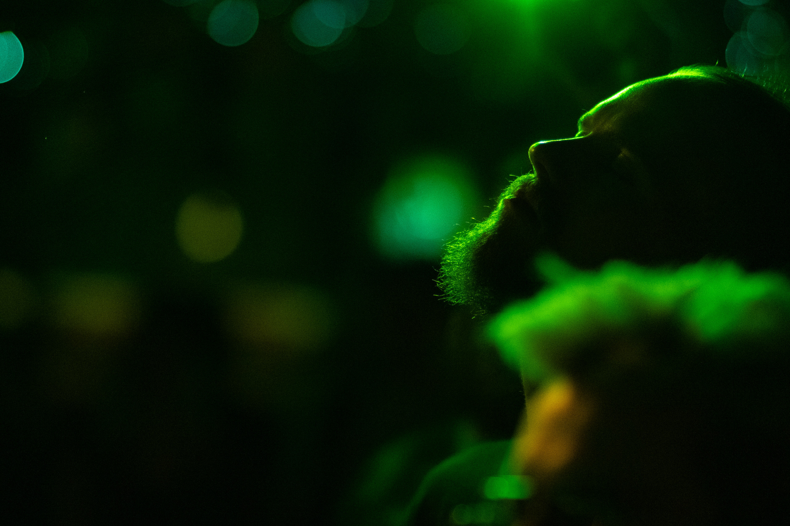 Кабаны. ФОТОГРАФ ИВАН НОВИКОВ | СТАВРОПОЛЬ