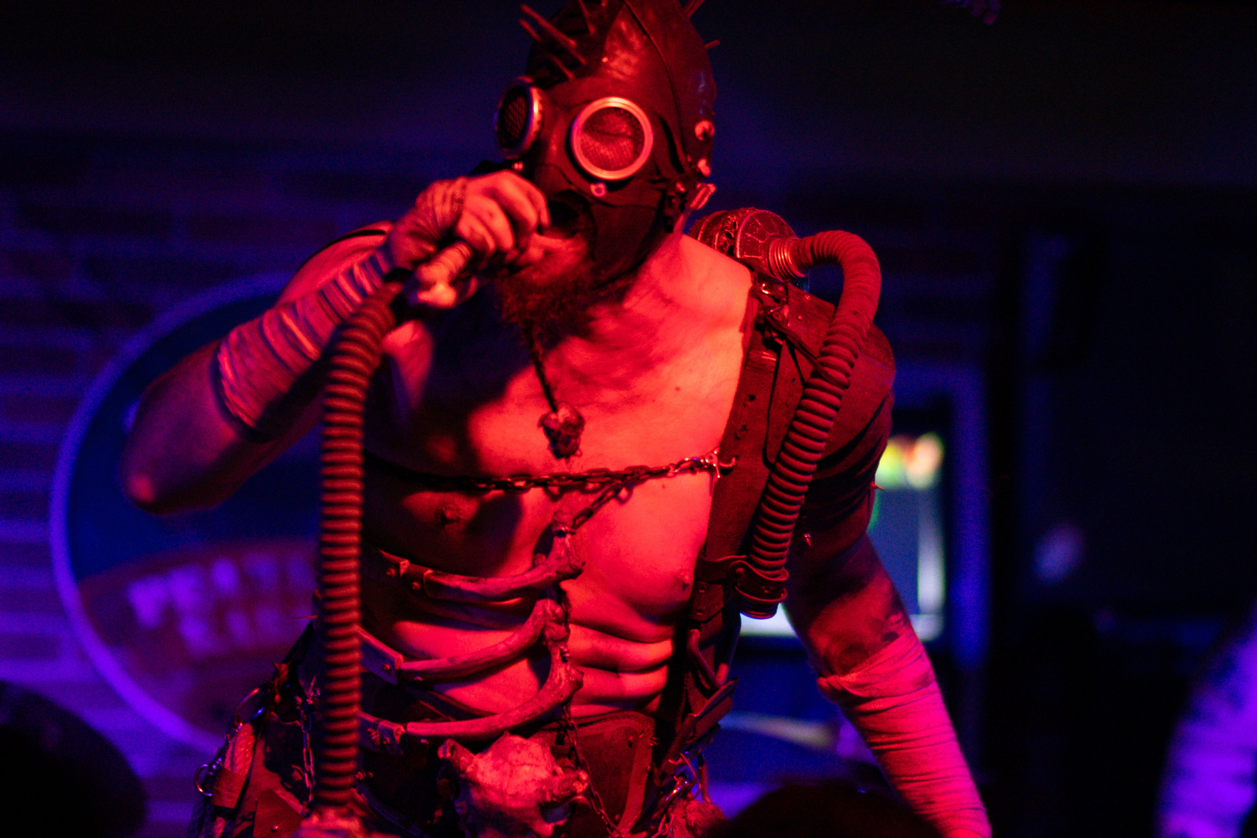 Кабаны. ФОТОГРАФ ИВАН НОВИКОВ | СТАВРОПОЛЬ