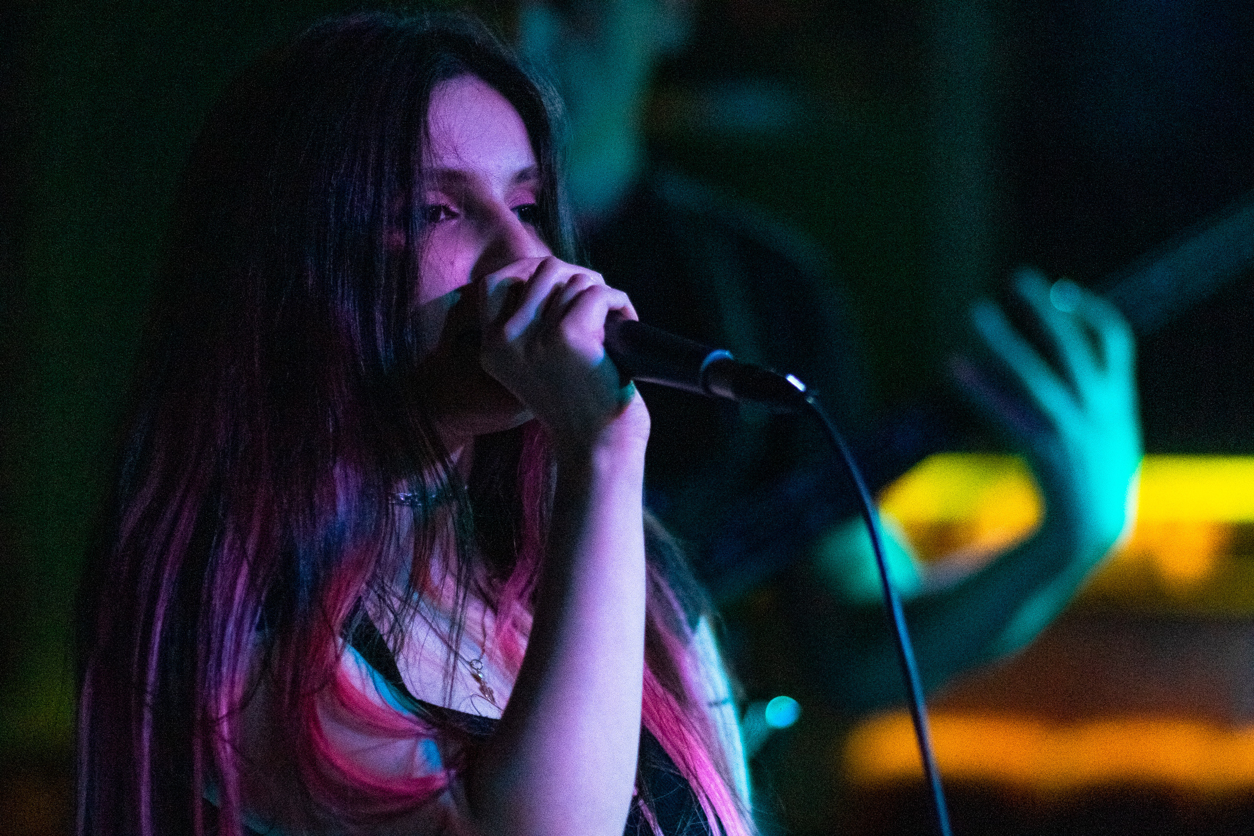 Кабаны. ФОТОГРАФ ИВАН НОВИКОВ | СТАВРОПОЛЬ