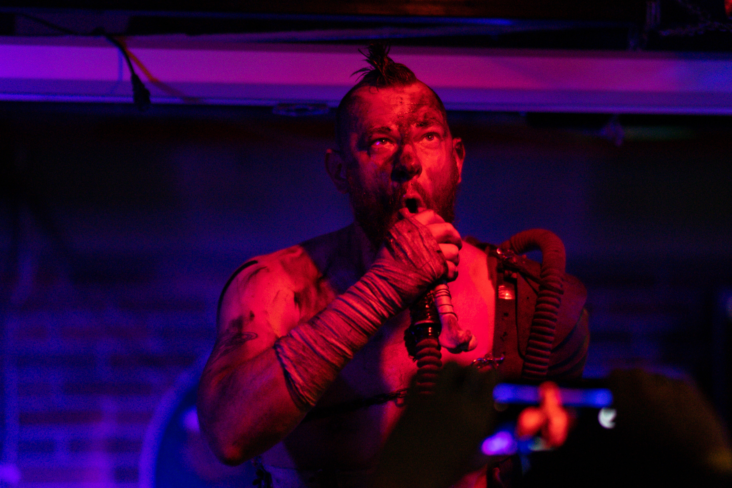 Кабаны. ФОТОГРАФ ИВАН НОВИКОВ | СТАВРОПОЛЬ