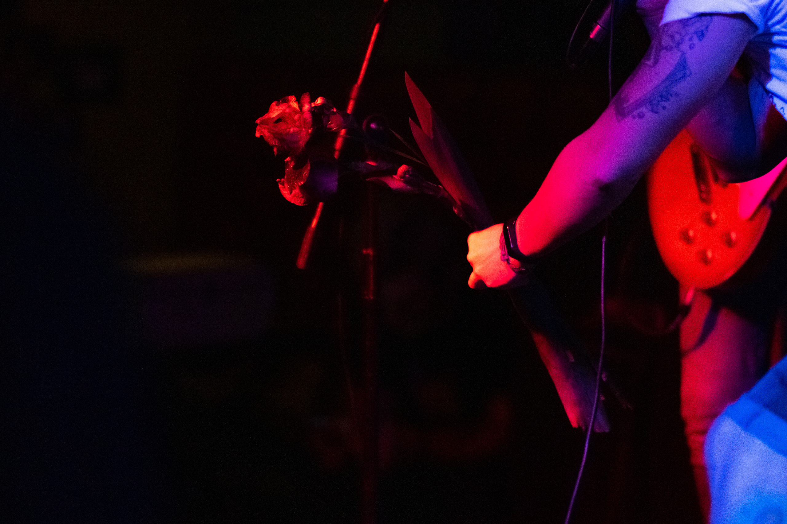 Кабаны. ФОТОГРАФ ИВАН НОВИКОВ | СТАВРОПОЛЬ