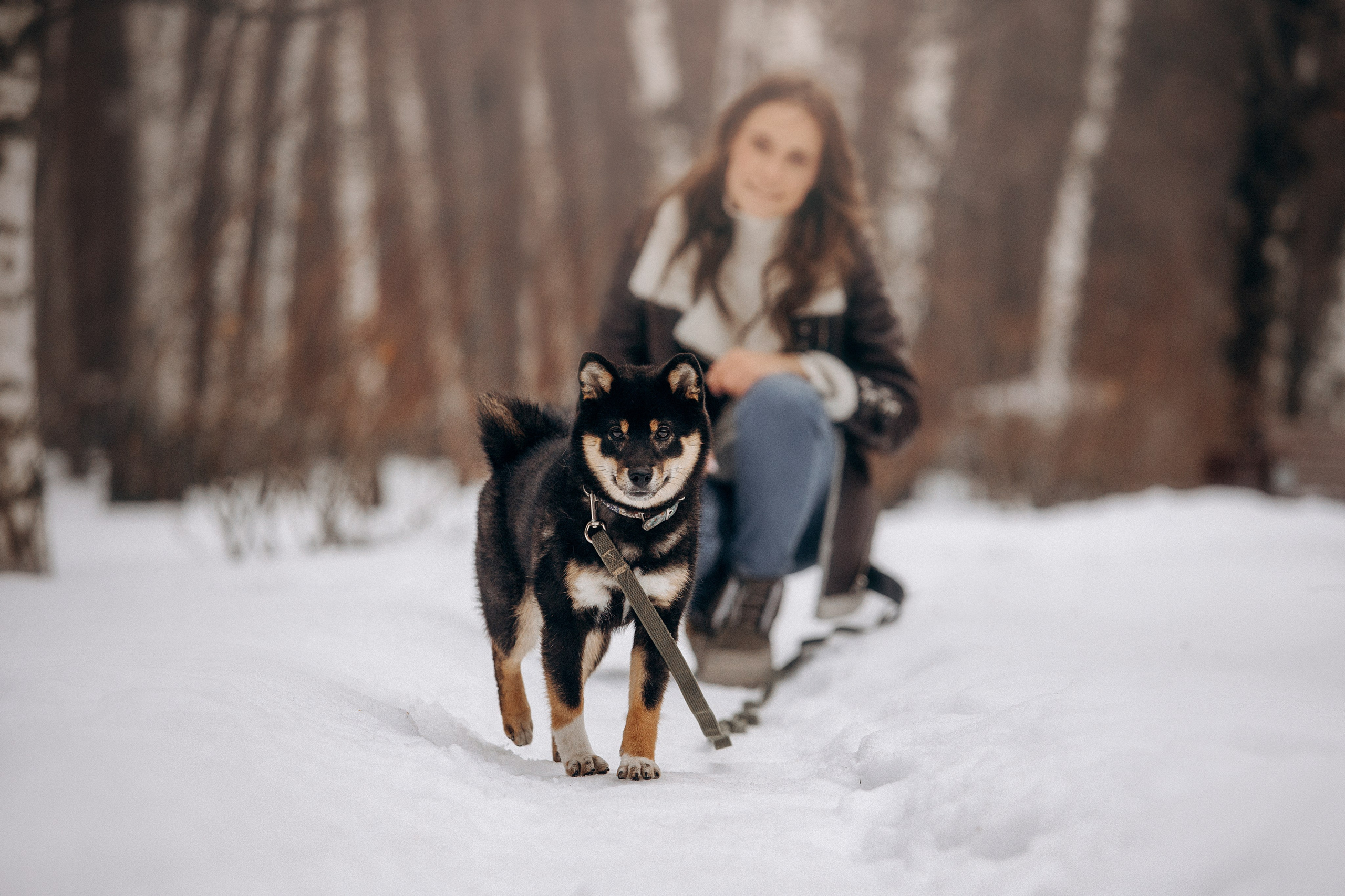 Дарья и Мики. Фотограф — Анималист | Санкт-Петербург