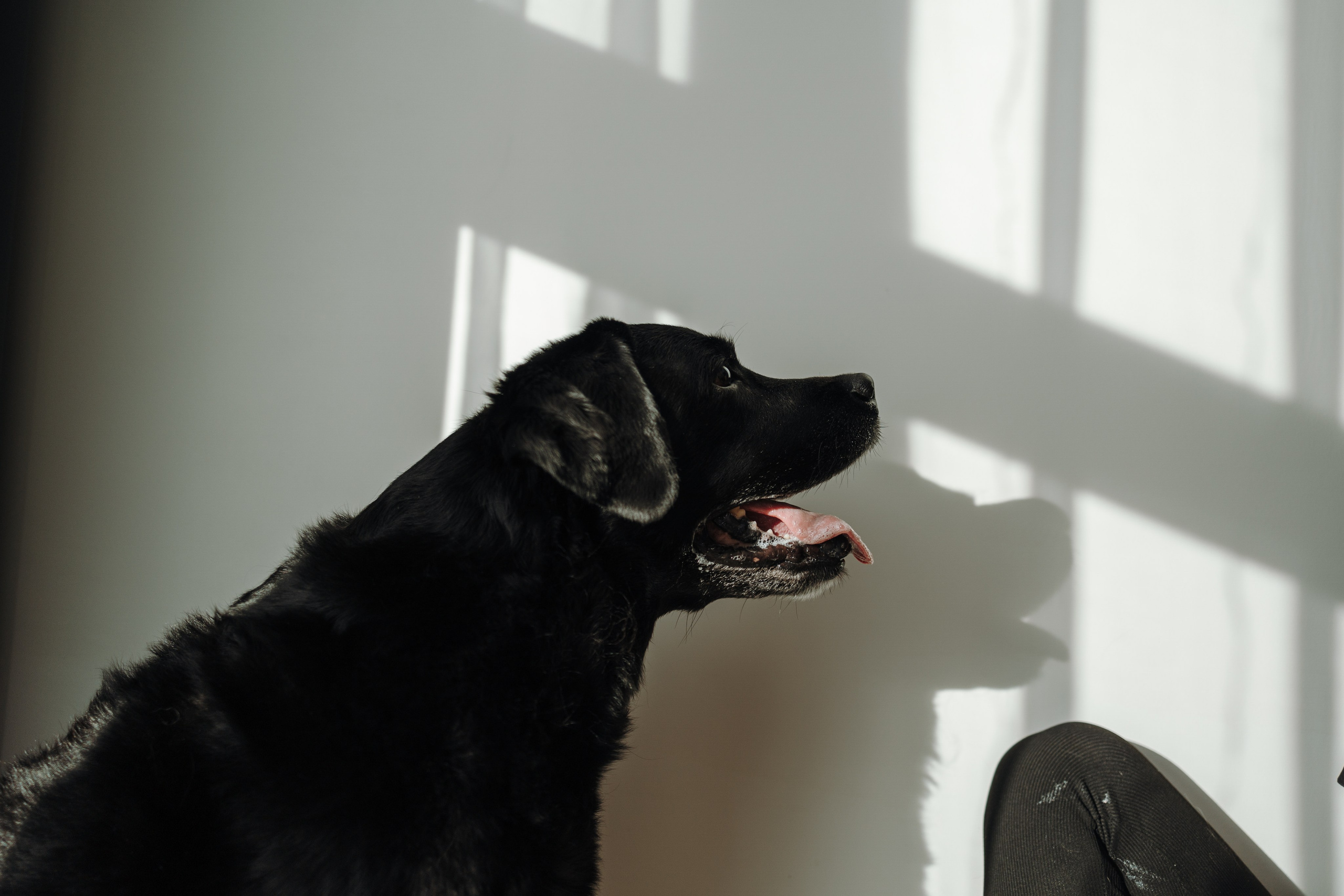 Таня и ее семья. Фотограф — Анималист | Санкт-Петербург