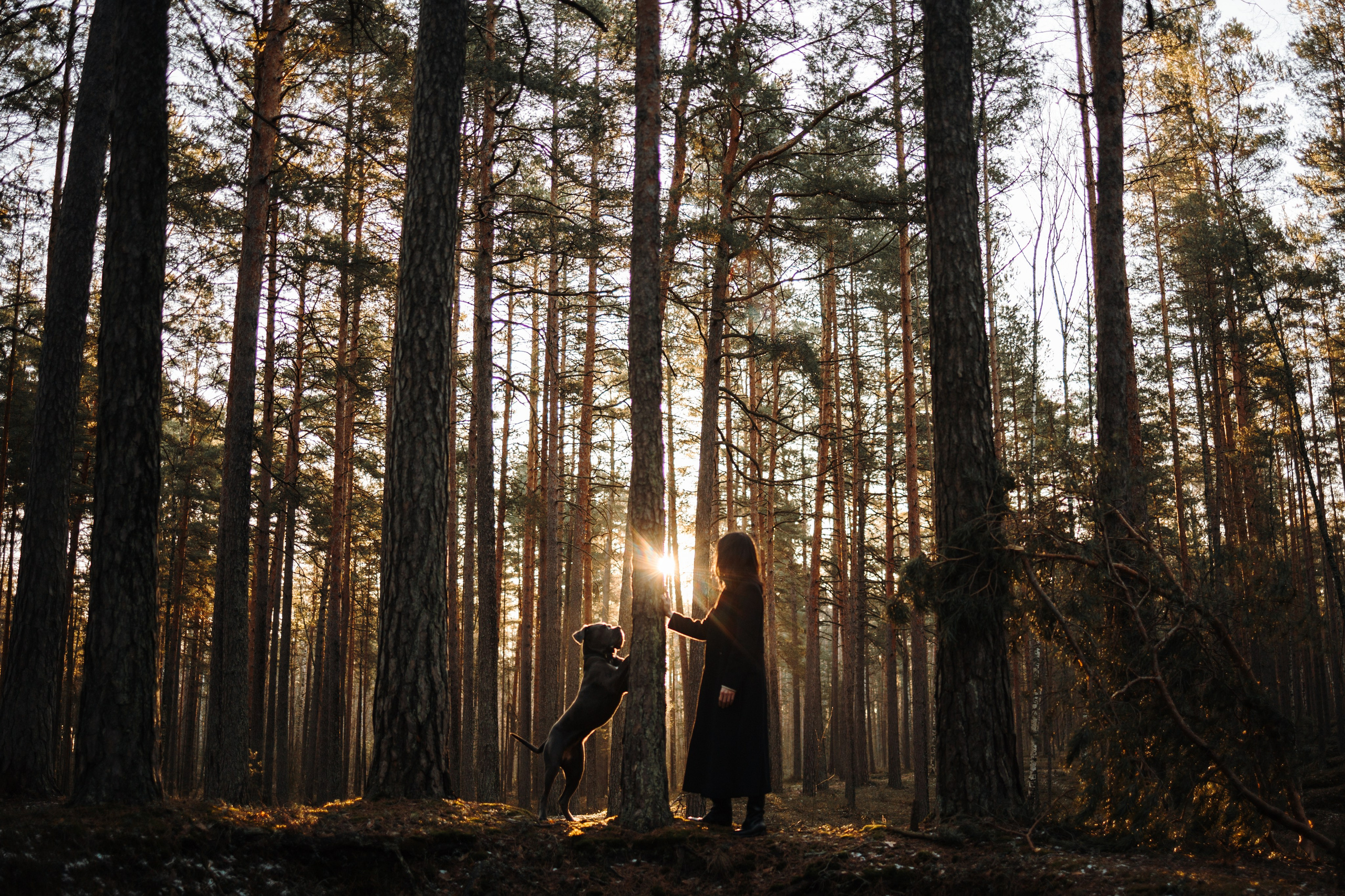 Анна и Лана. Фотограф — Анималист | Санкт-Петербург