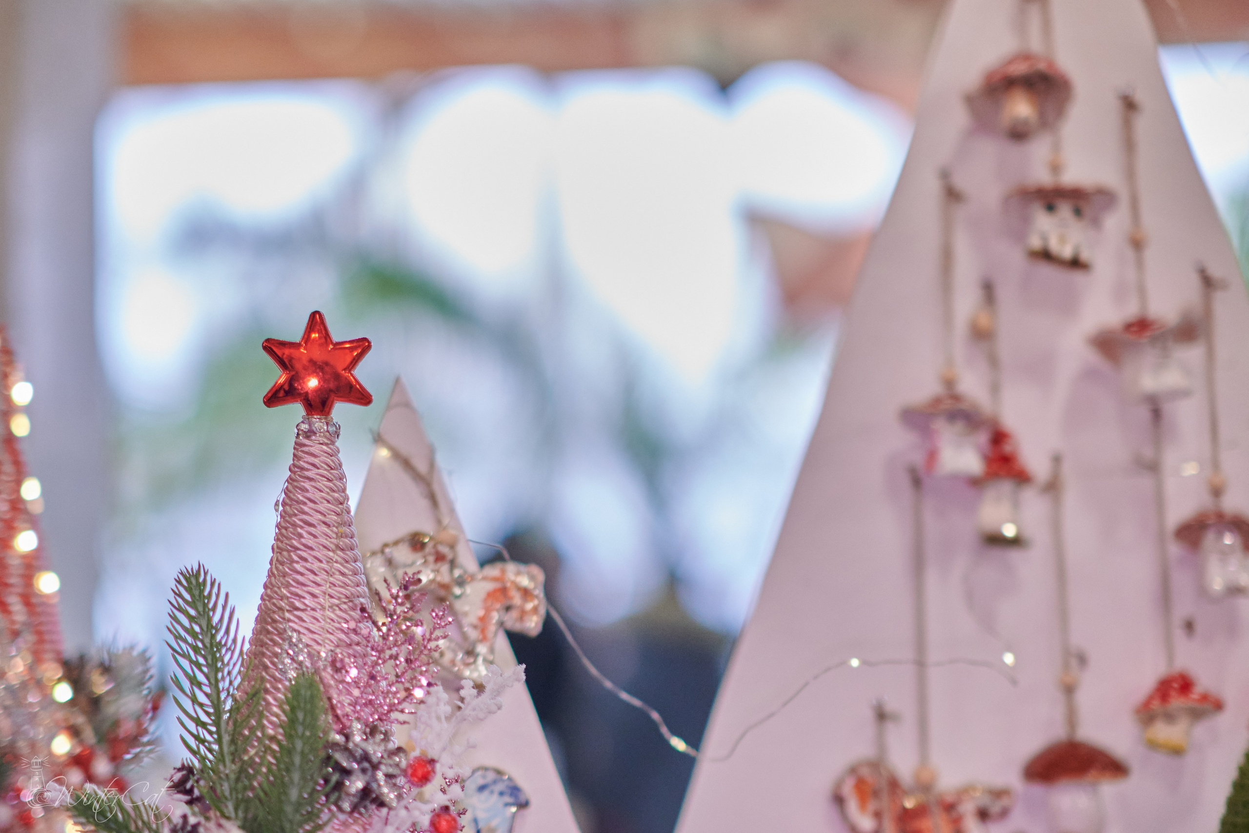 Арт-Колыма Ярмарка. Портретный и репортажный фотограф в Магадане Андрей Нефедов WinterCatPhoto